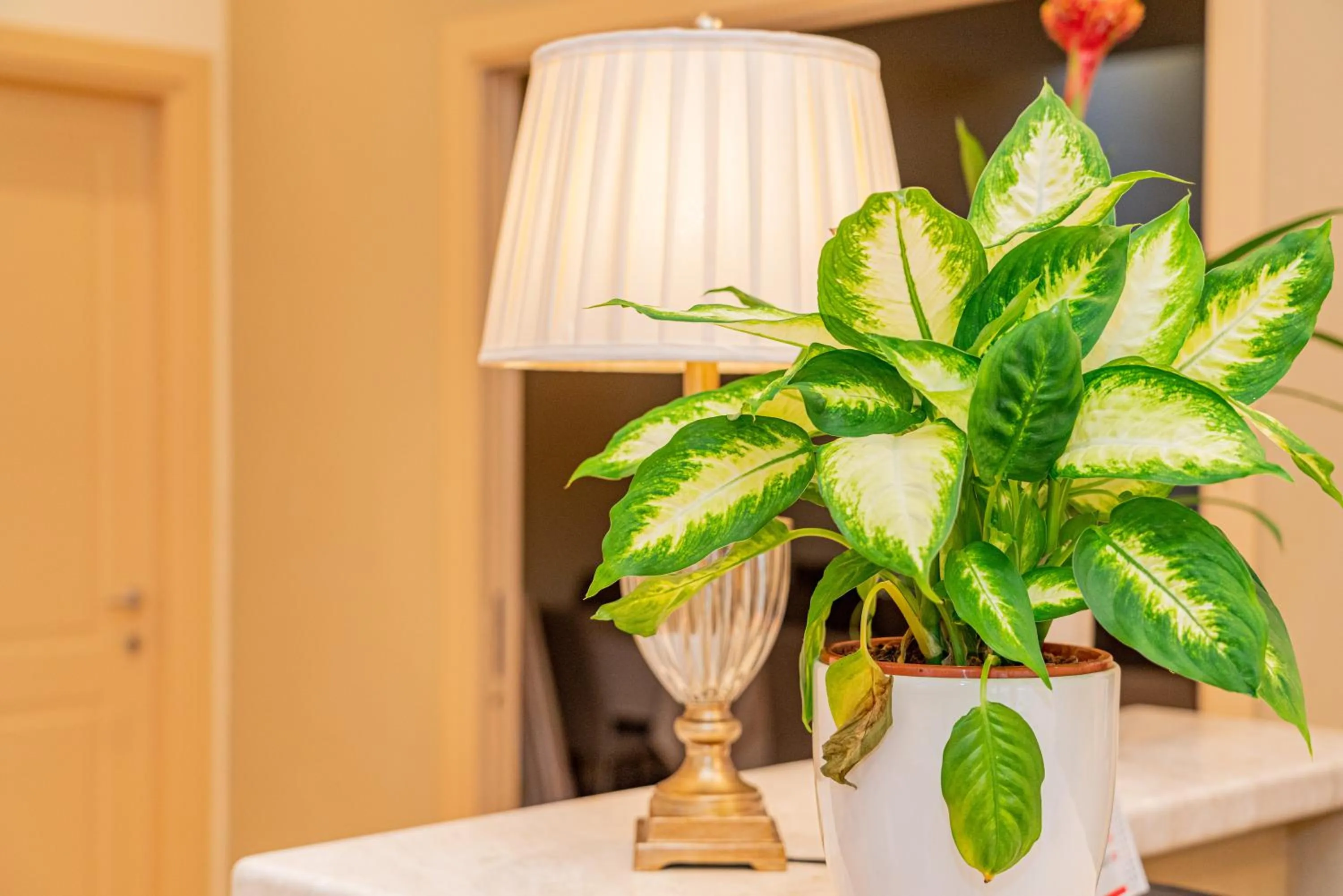 Lobby or reception in Hotel Regina Elena