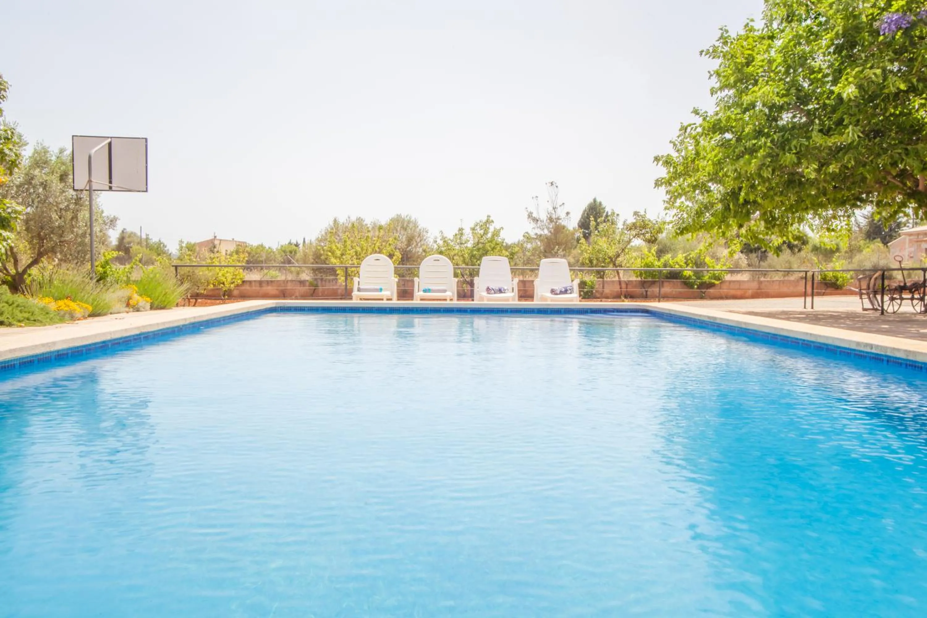 Swimming pool in Ca'n Canastro