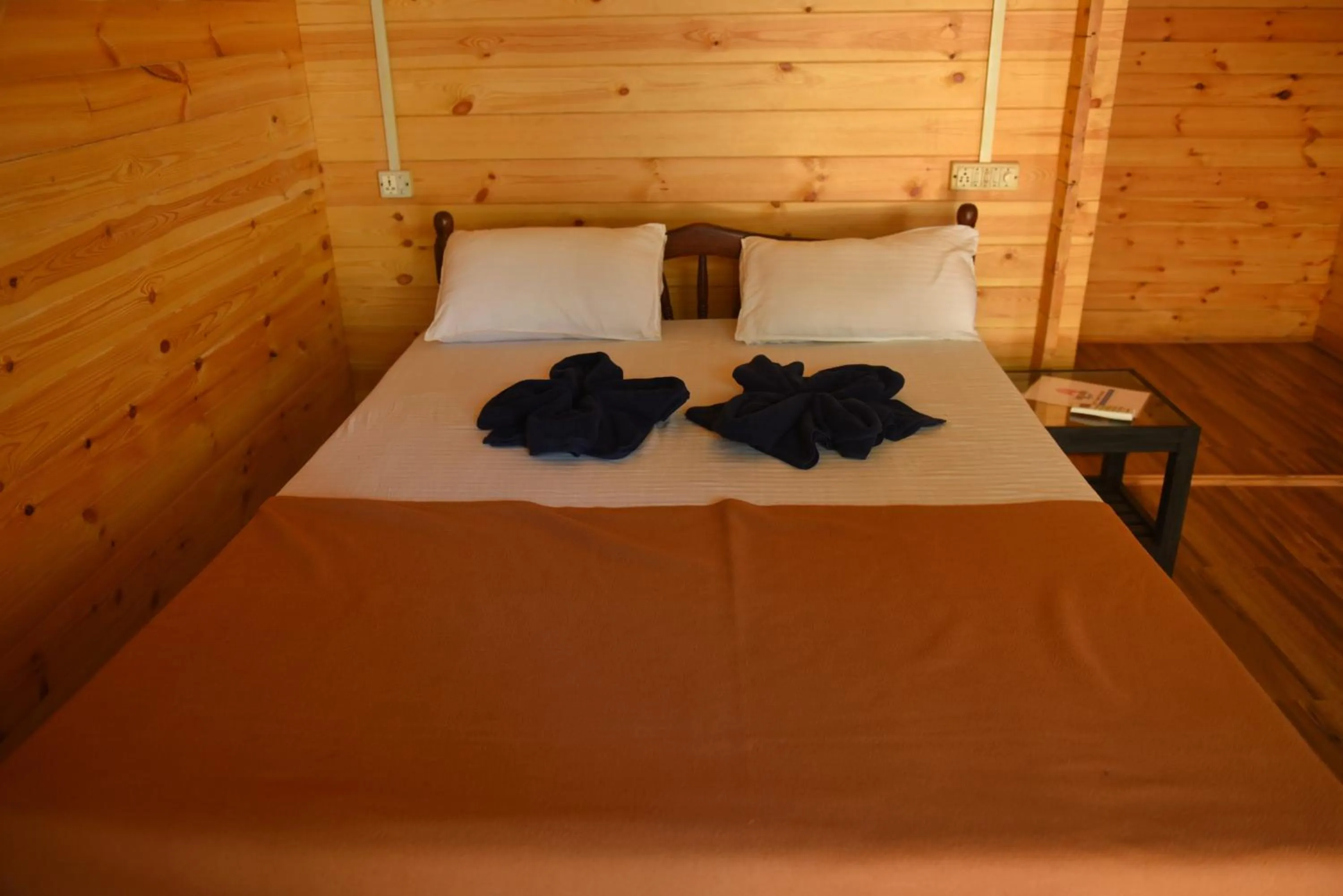 Bed in Agonda Paradise