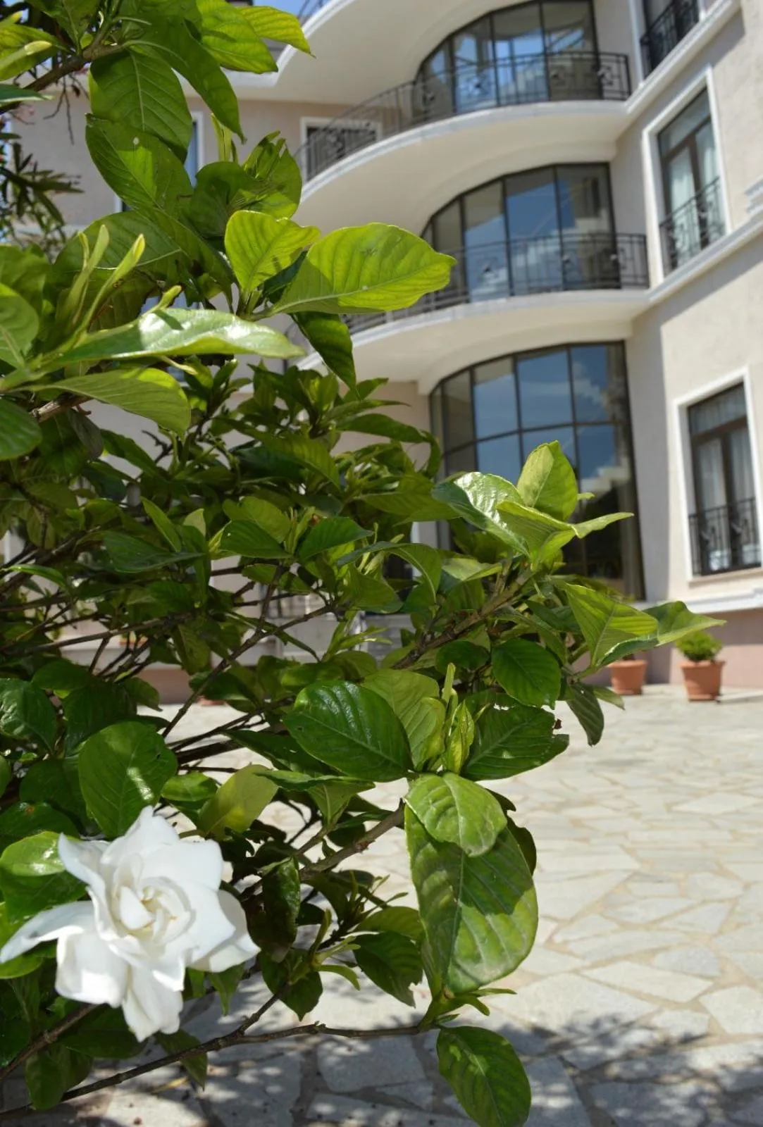 Property building in Boutique Hotel Argo