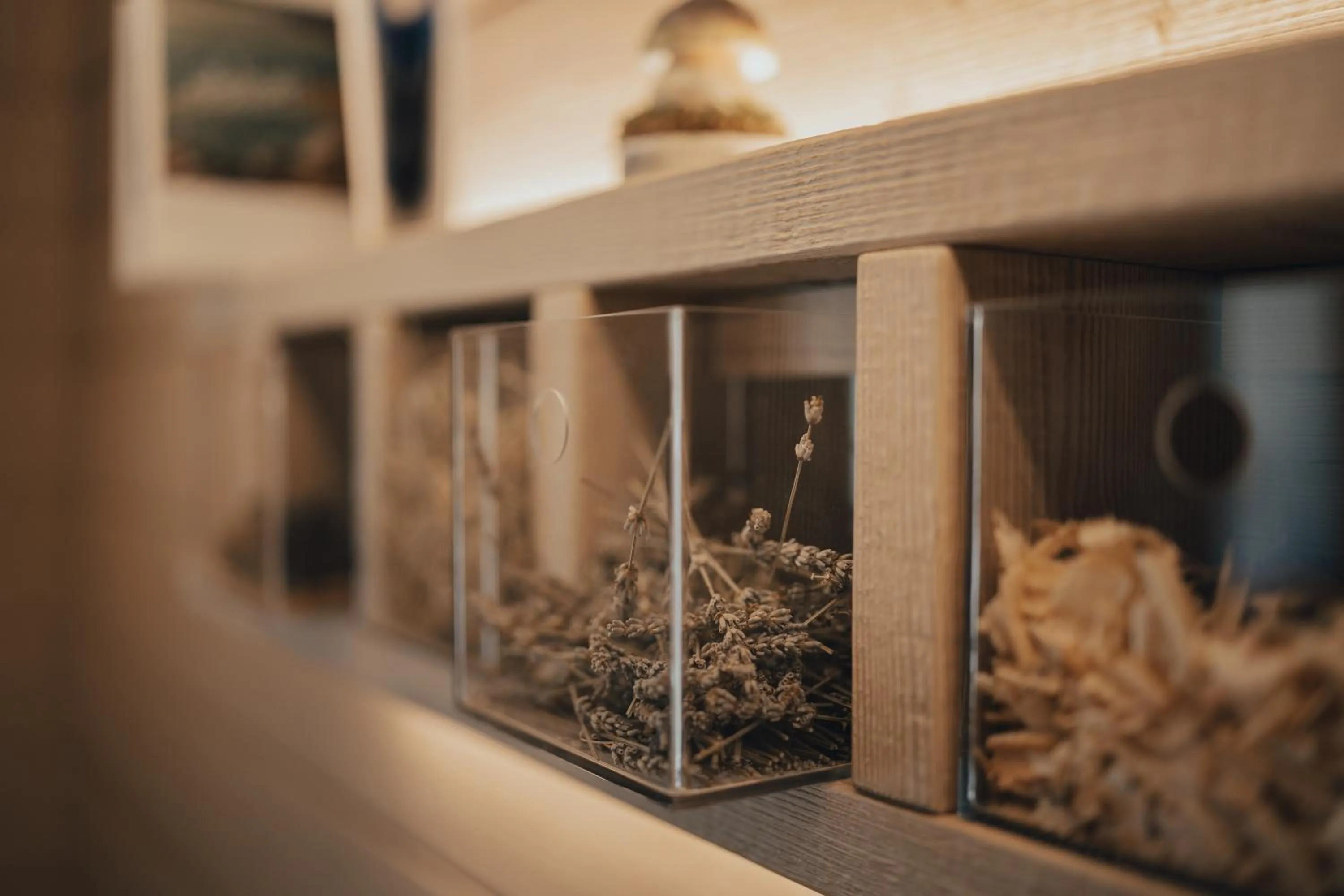 Decorative detail in Hotel Bezzi