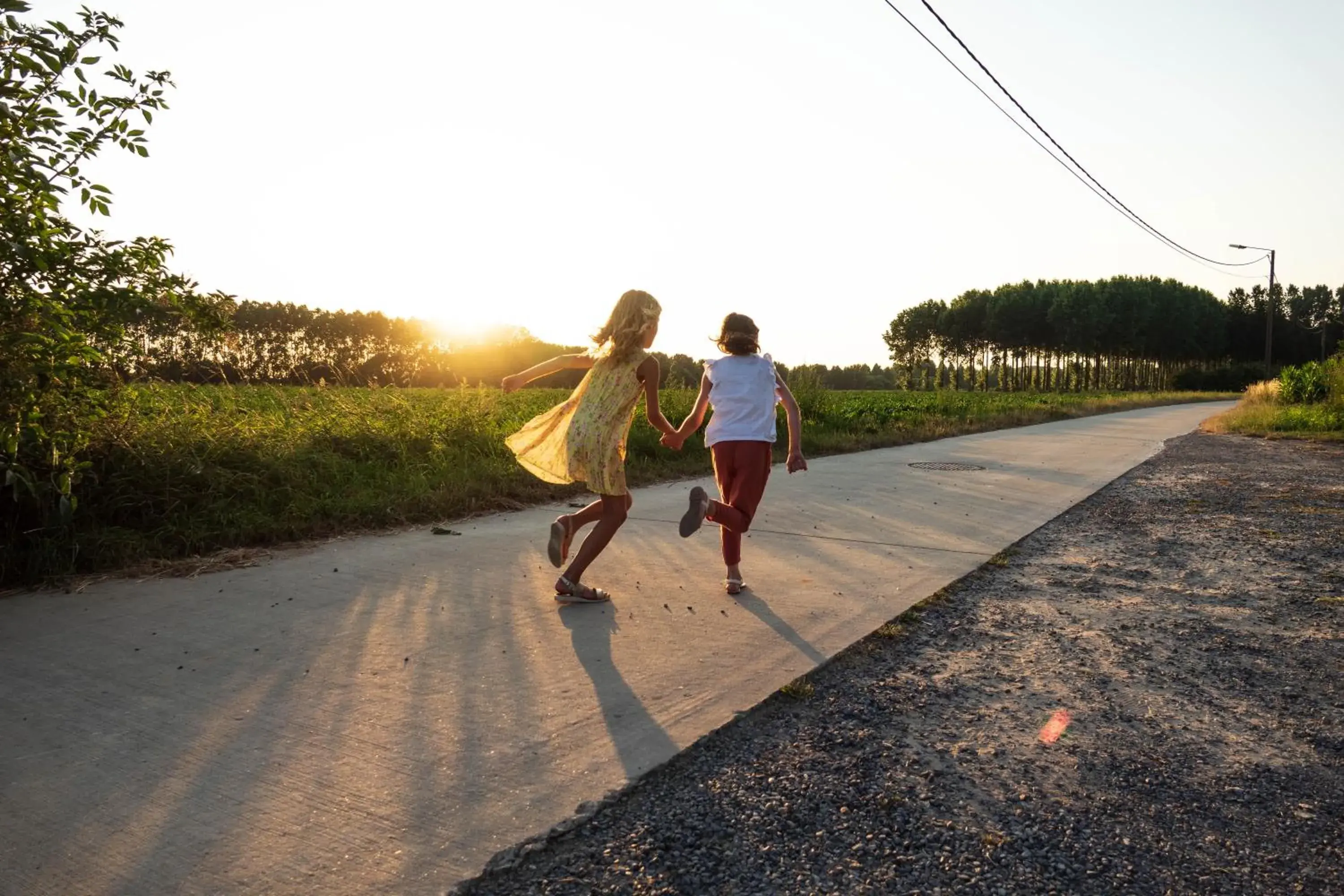 DE SMISHOEVE met kinderpret, dieren en wellness DE SMISHOEVE met kinderpret, dieren en wellness