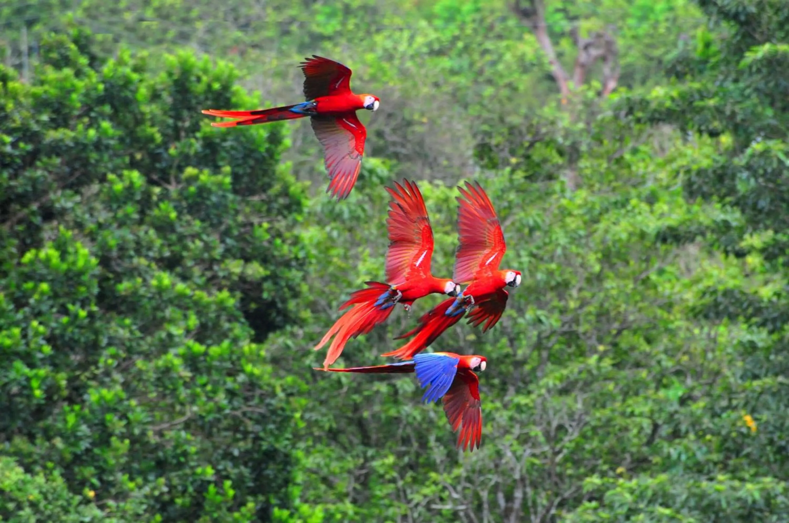 Other Activities in Ecobiosfera