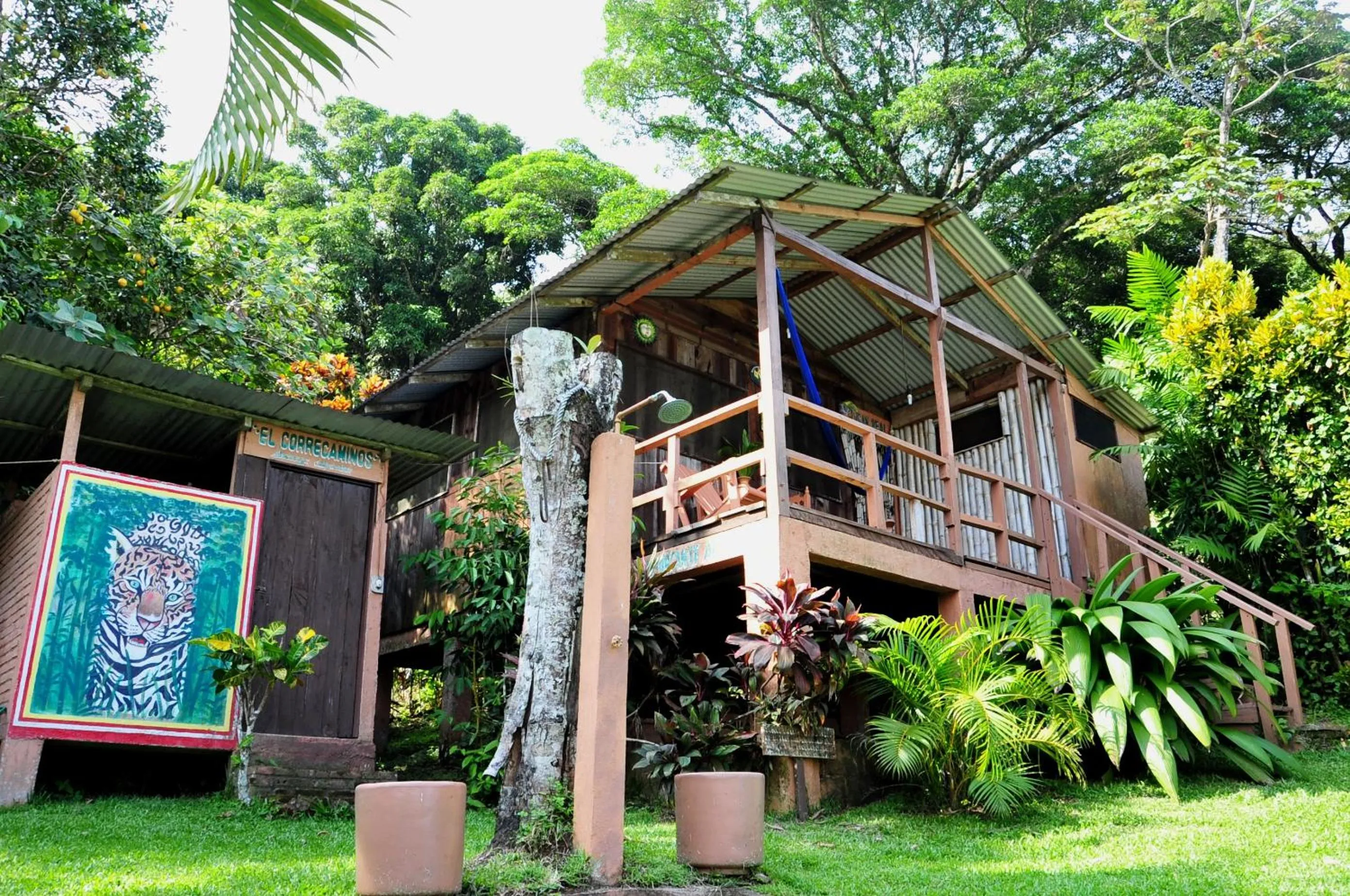 Property Building in Ecobiosfera