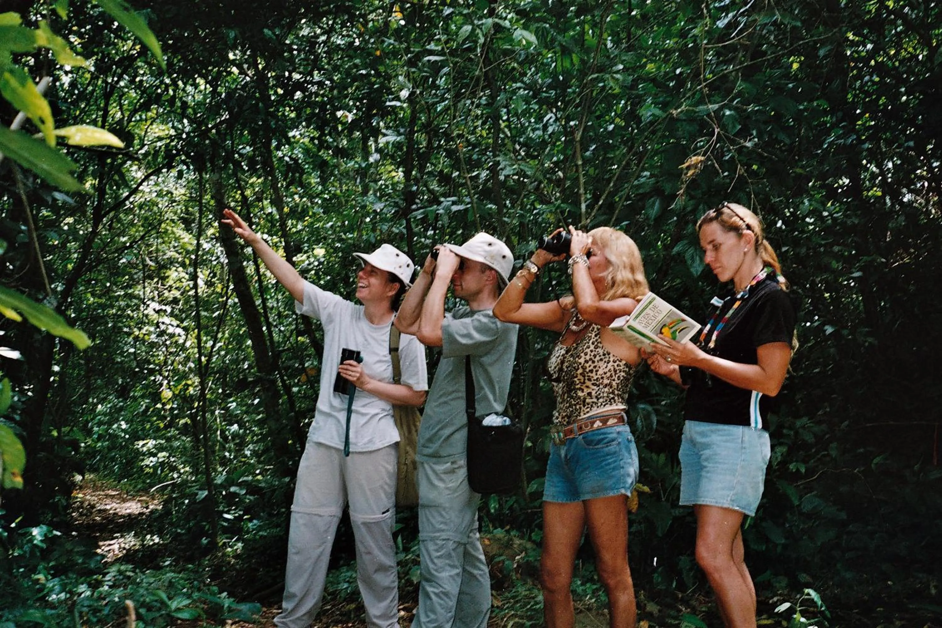 Evening Entertainment in Ecobiosfera
