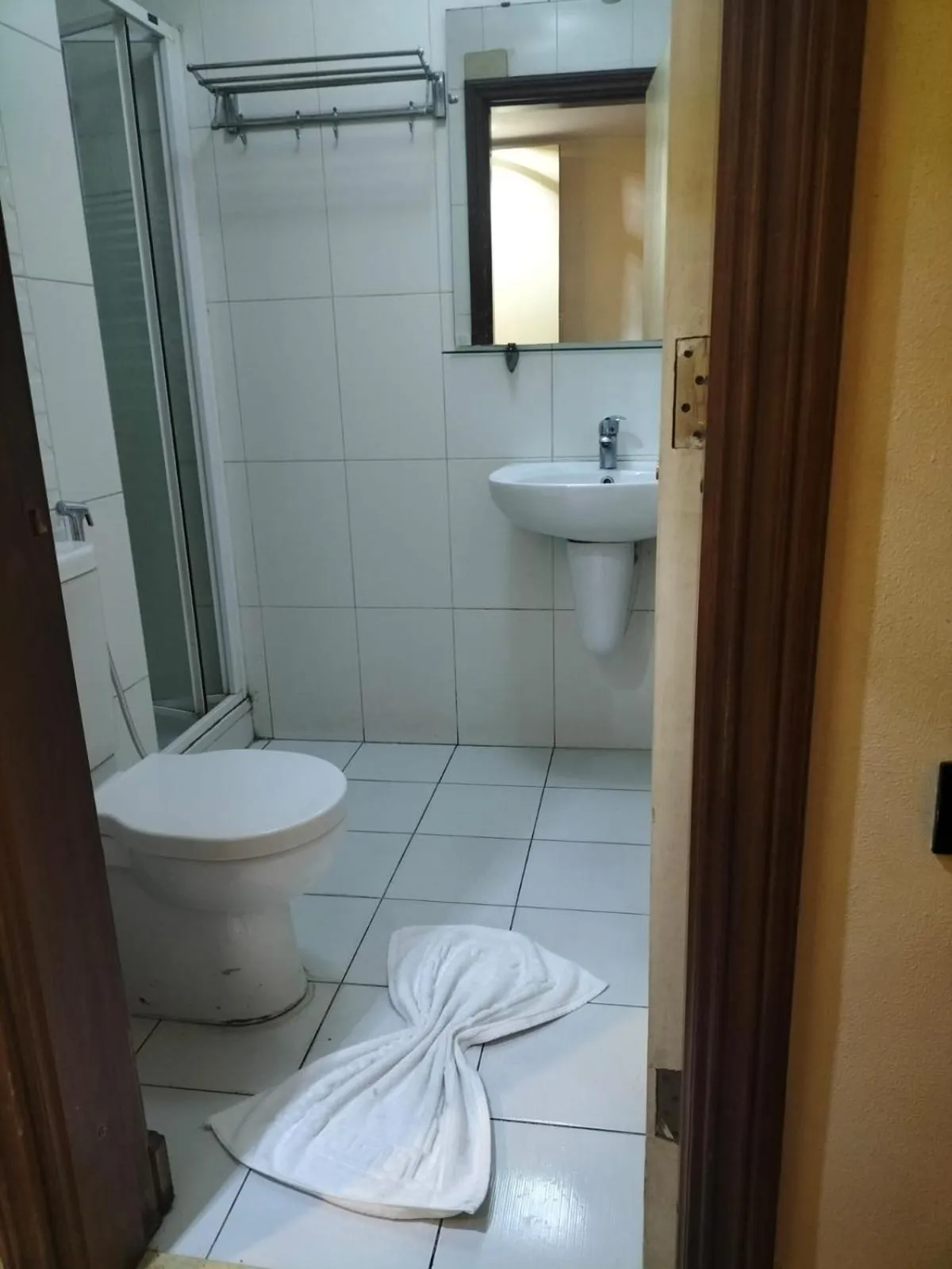 Toilet in King Hotel Cairo