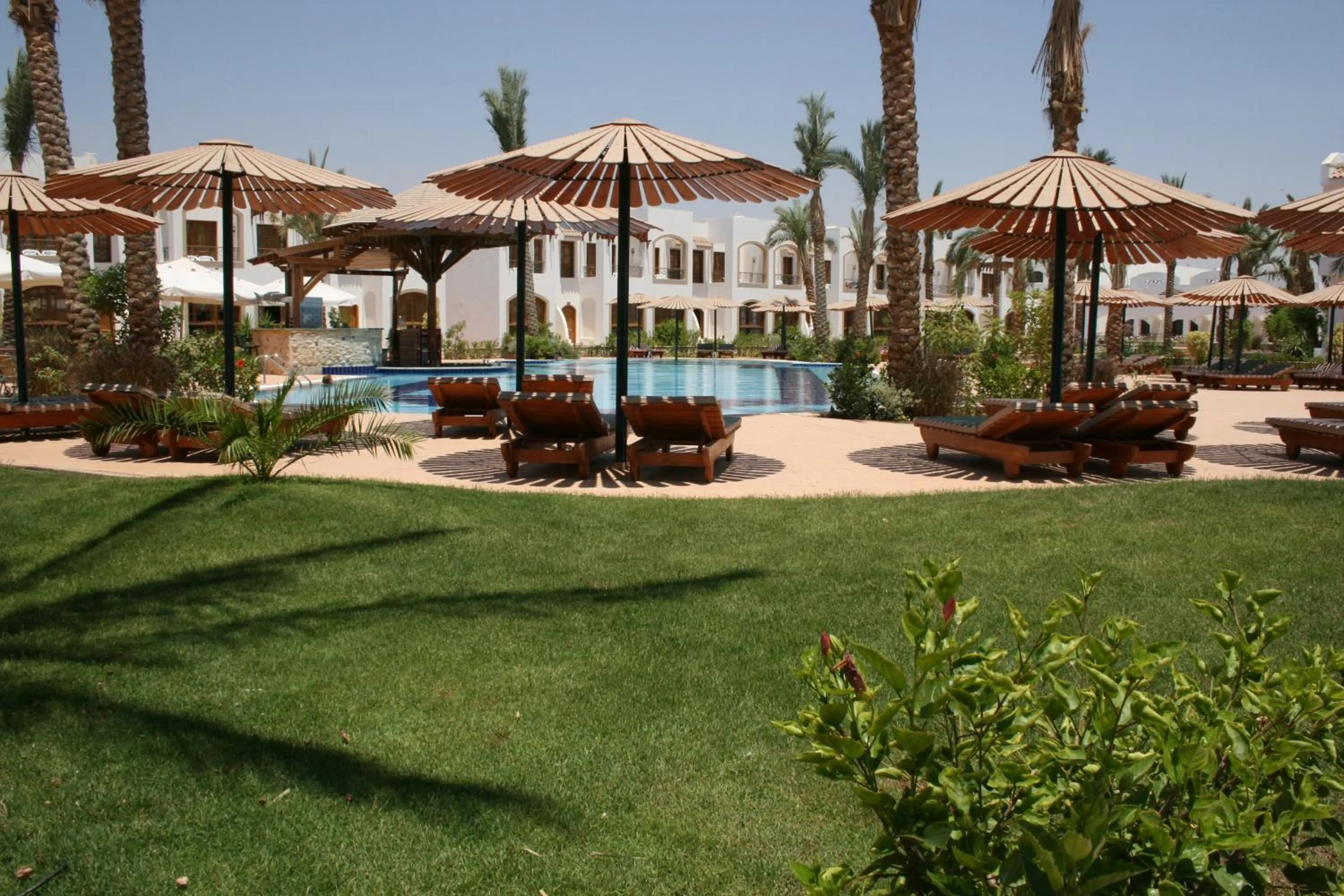 Garden in Coral Hills Resort Sharm El-Sheikh