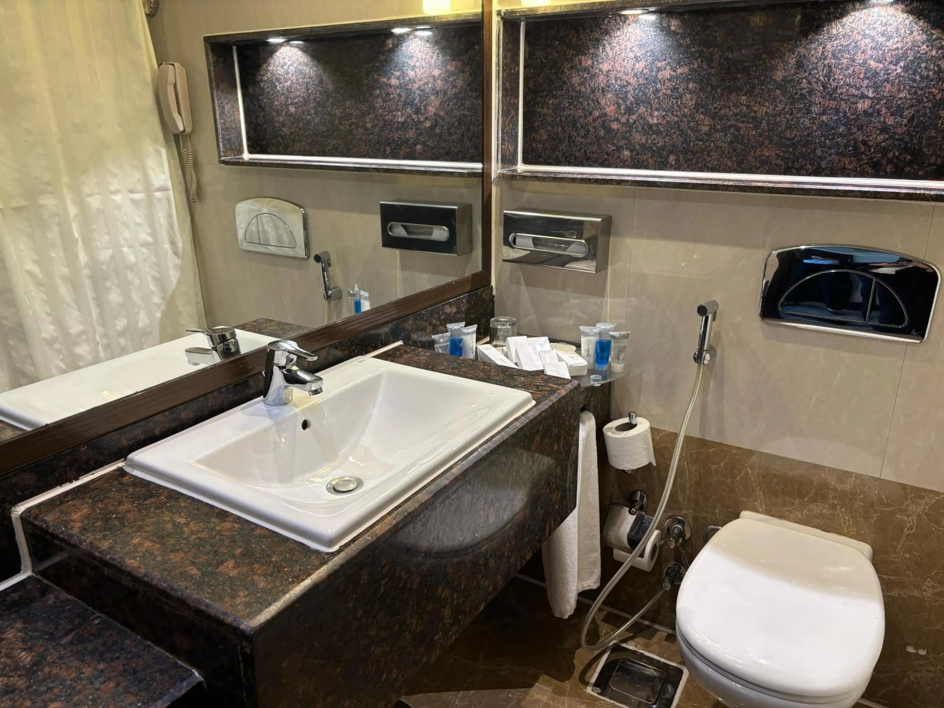 Toilet in Helnan Royal Palestine Hotel - Montazah Gardens