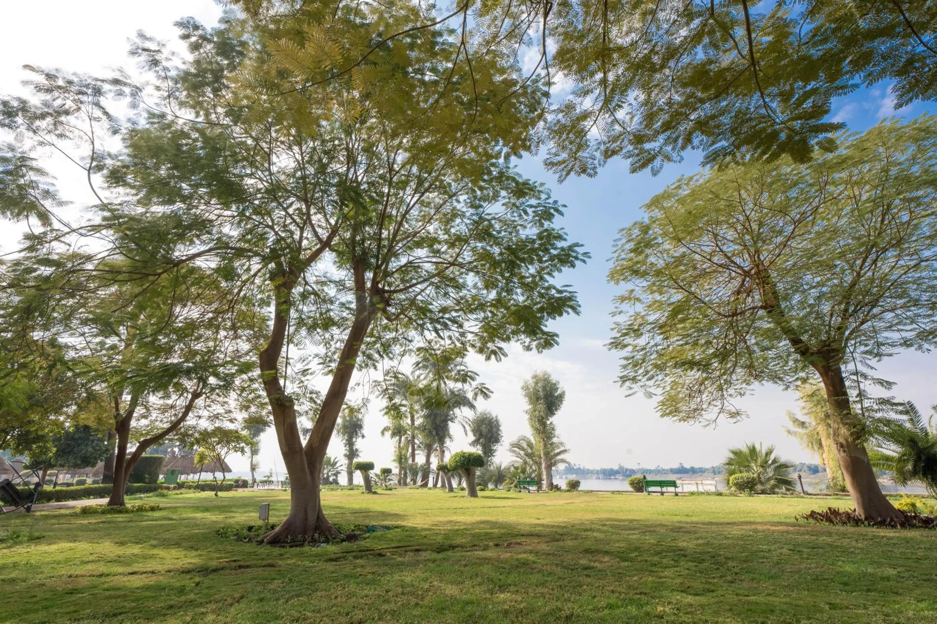 Garden view in Jolie Ville Hotel & Spa Kings Island Luxor