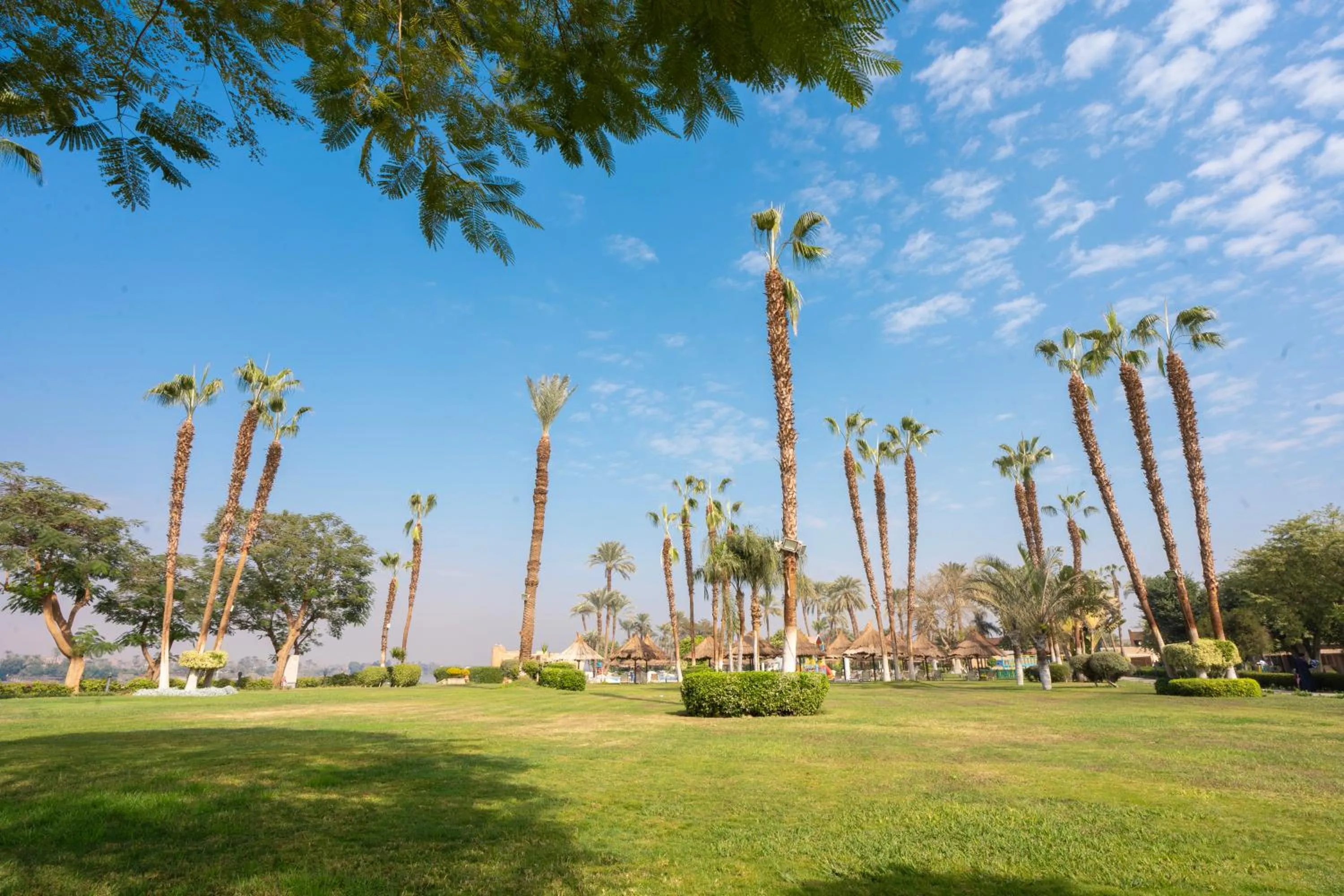 Garden view in Jolie Ville Hotel & Spa Kings Island Luxor