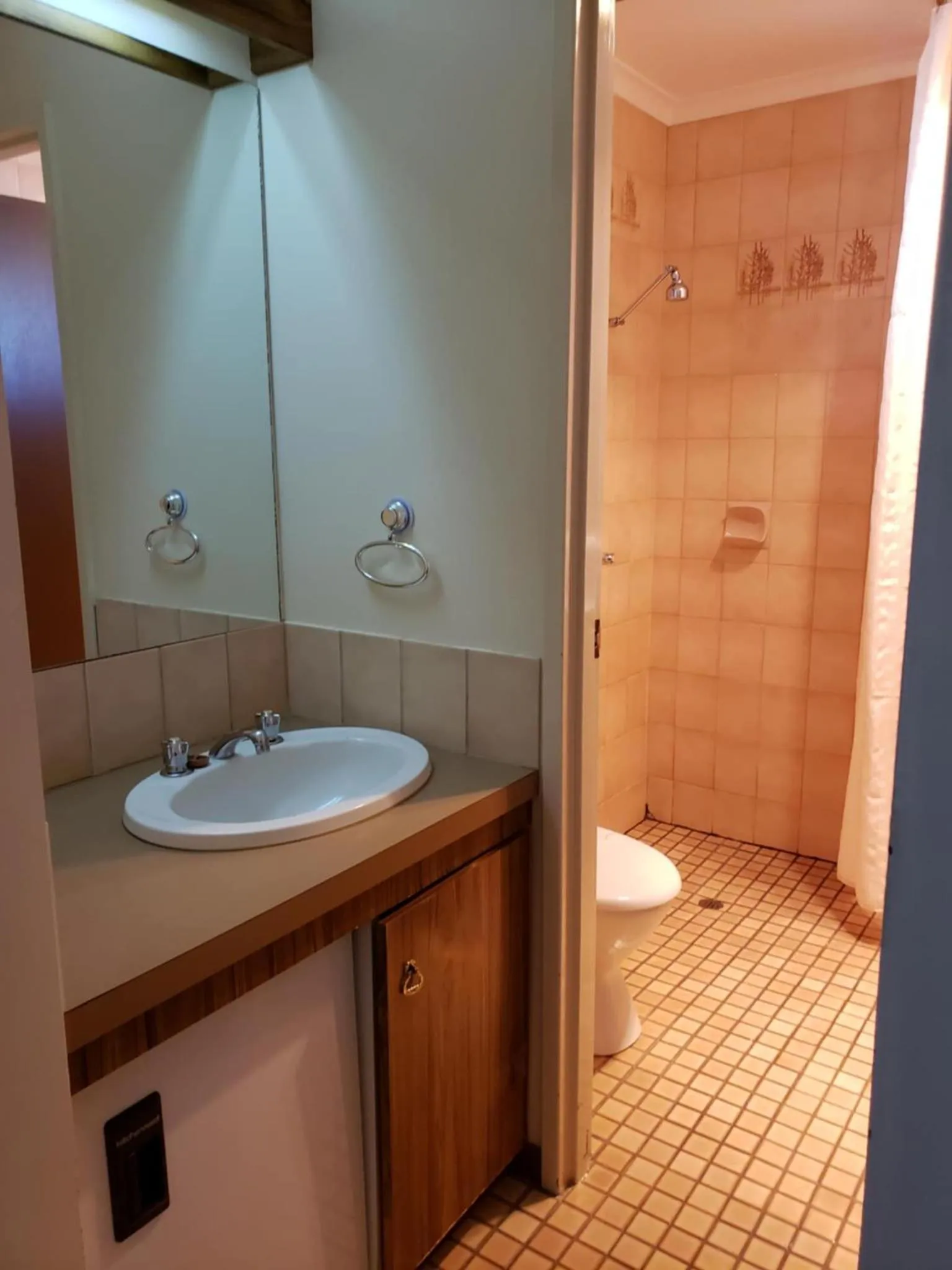 Deluxe Queen Room - single occupancy in Balranald Motor Inn