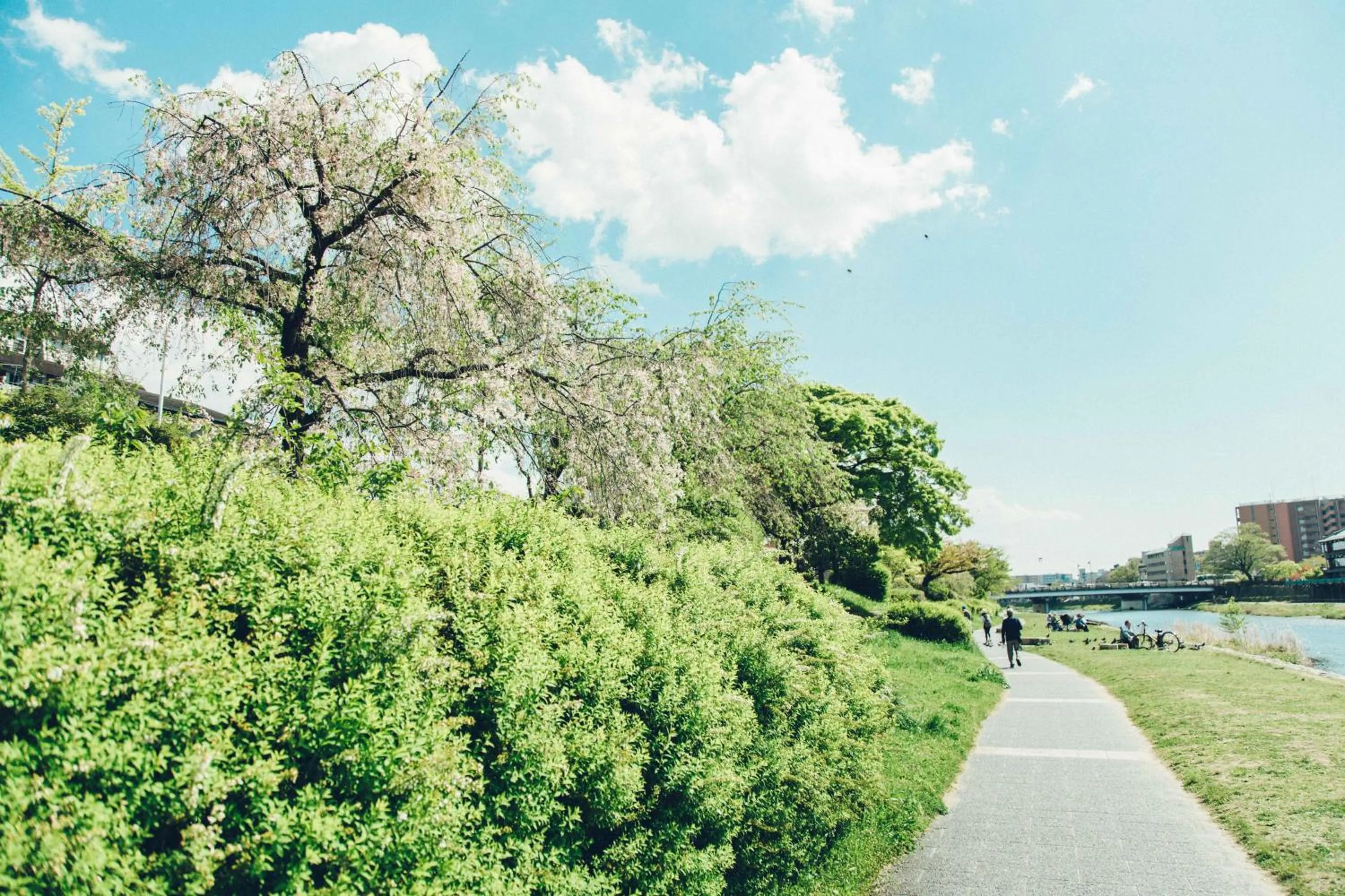 Neighbourhood in Len Kyoto Kawaramachi