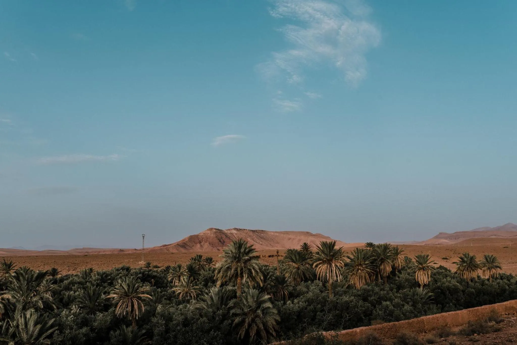 Garden view in Kasbah Petit Nomade