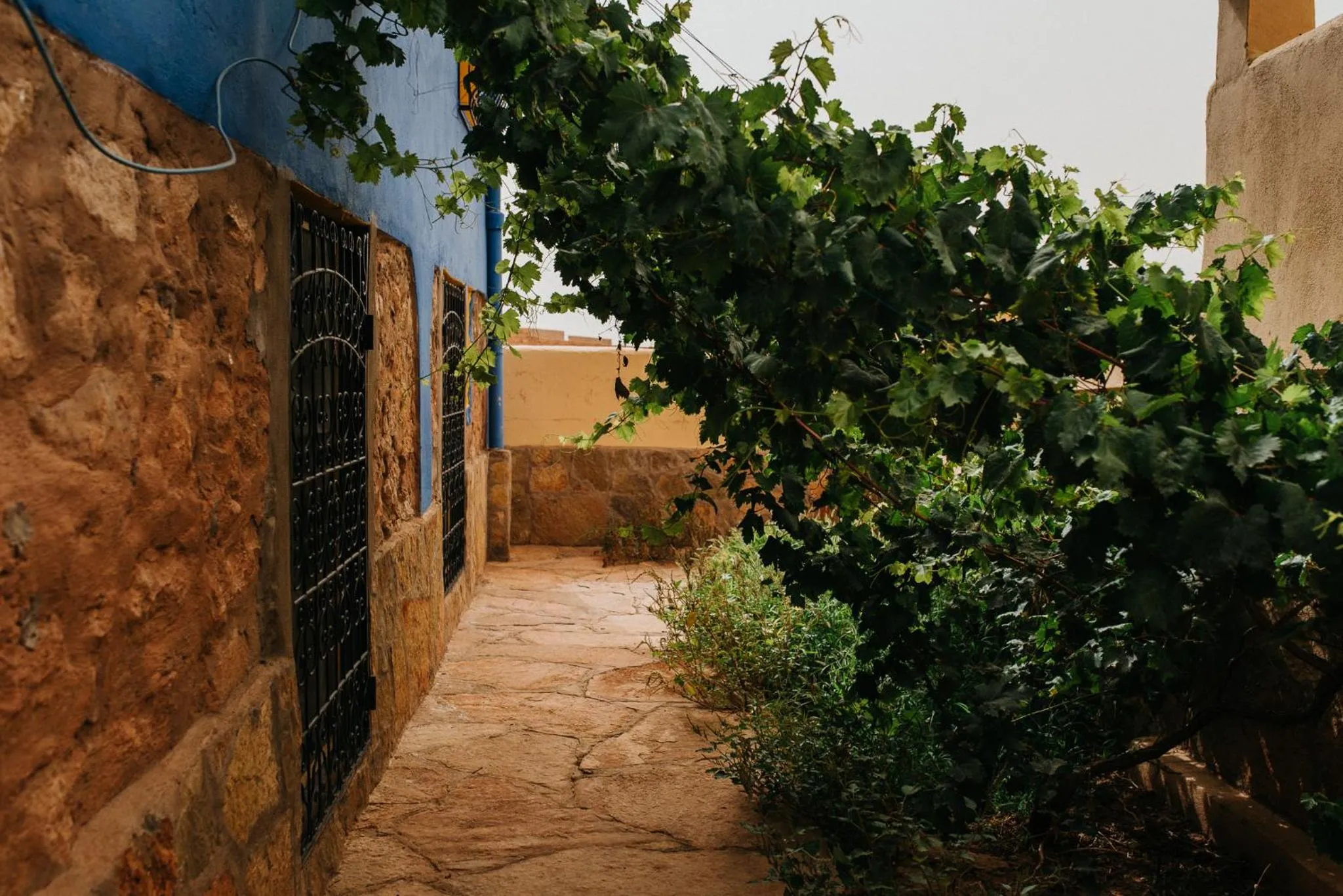 Garden view in Kasbah Petit Nomade