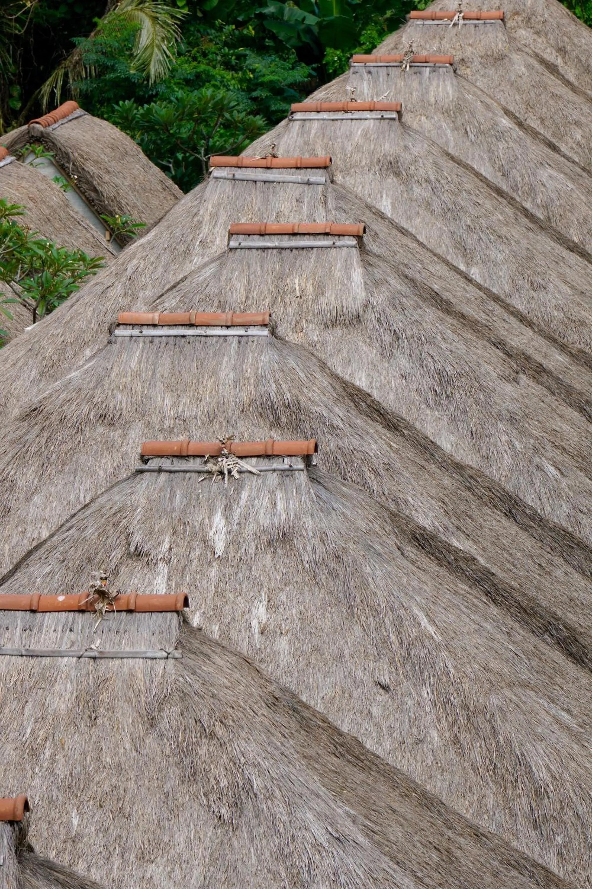 Bird's eye view in Tejaprana Resort & Spa