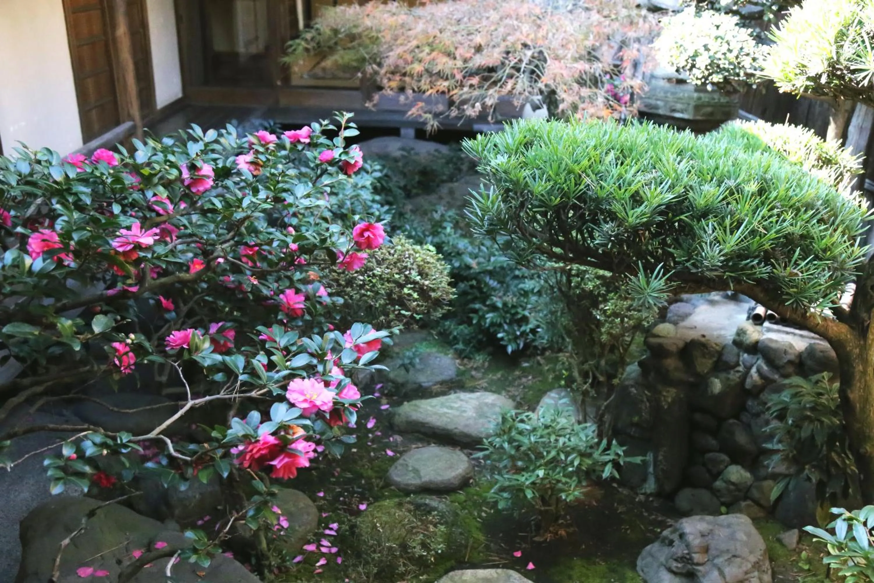 Garden in Show-an Machiya Inn
