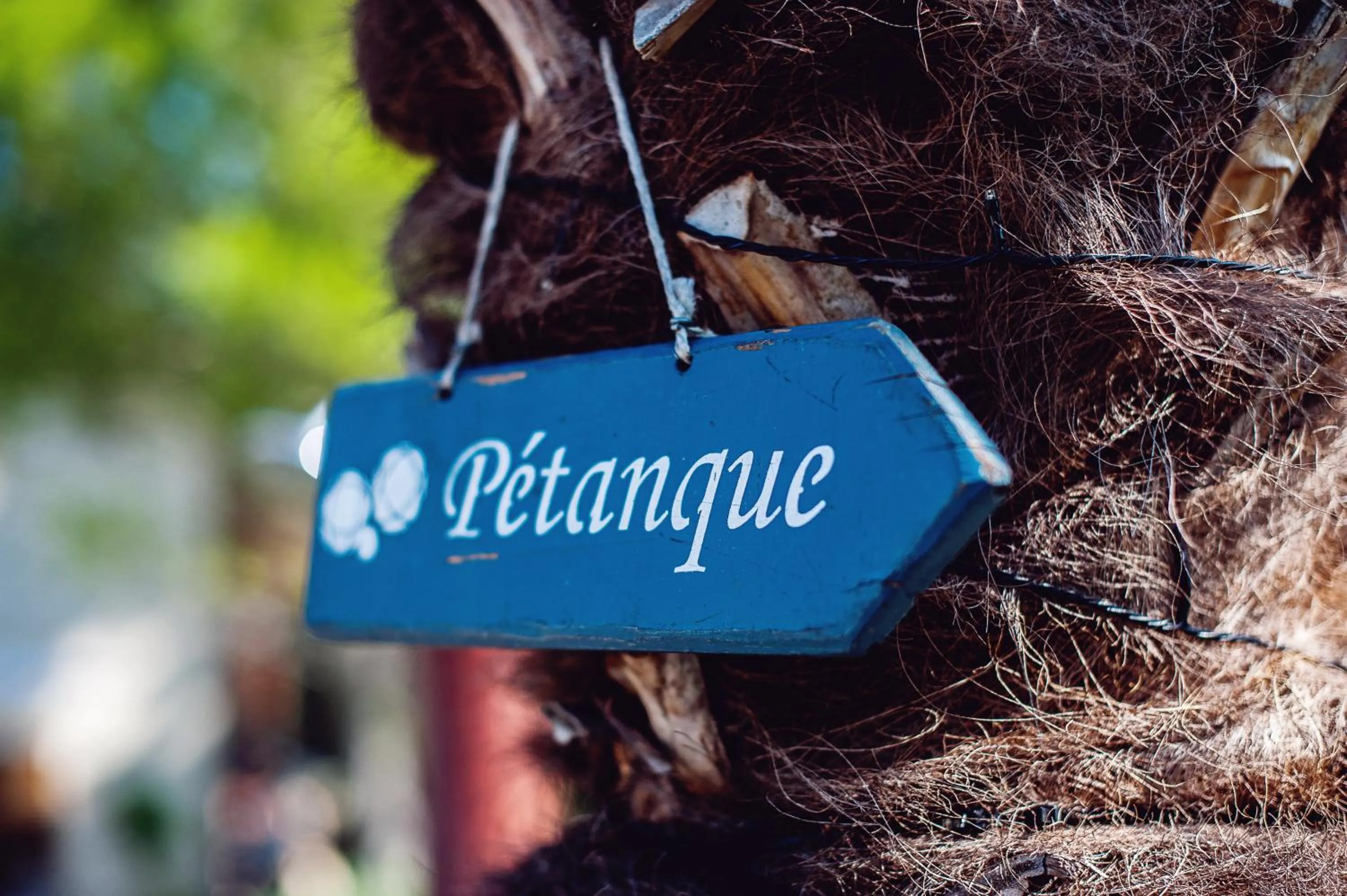 Entertainment in Les Champs de Provence