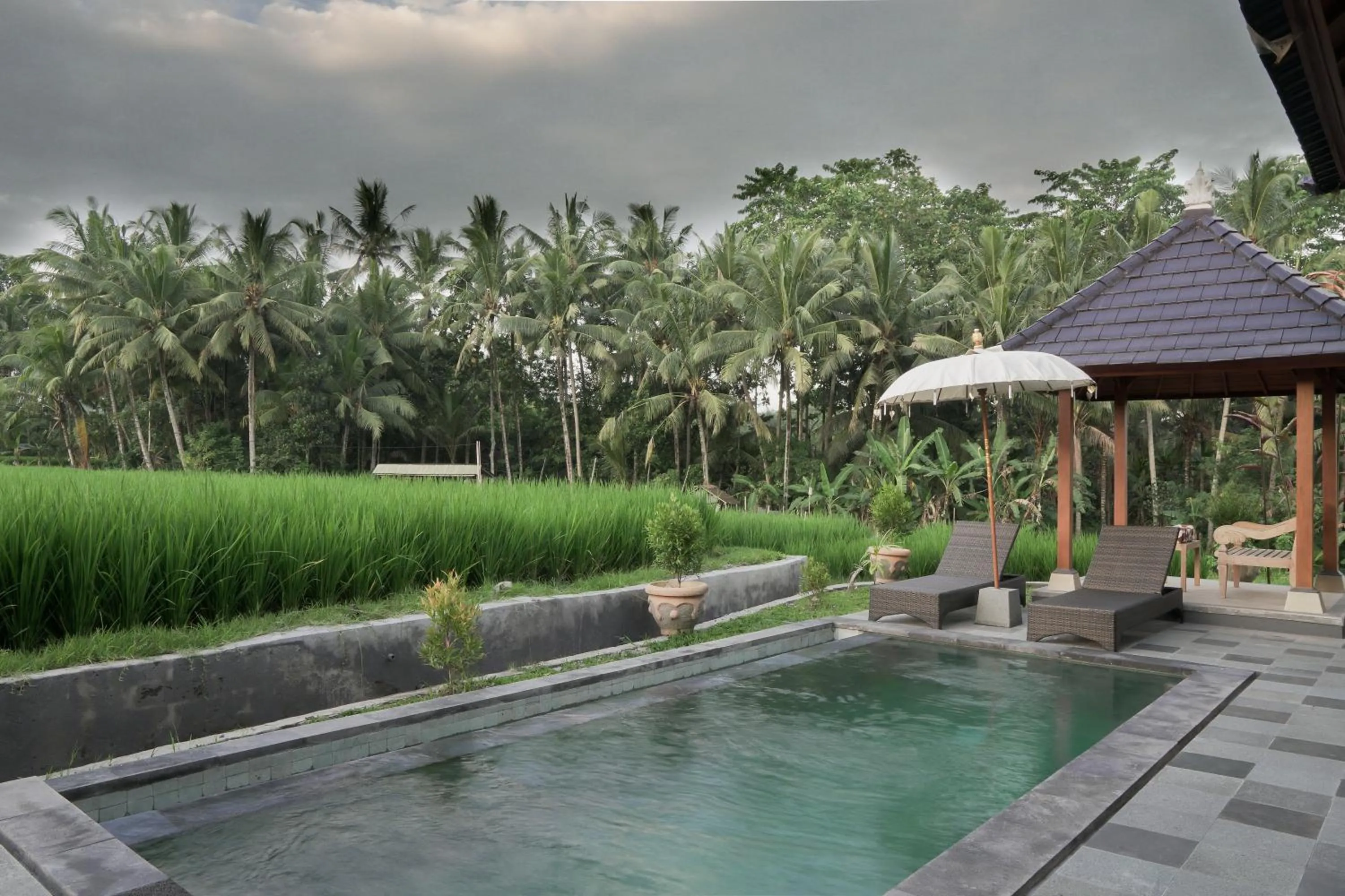Day in Masia Villa Ubud