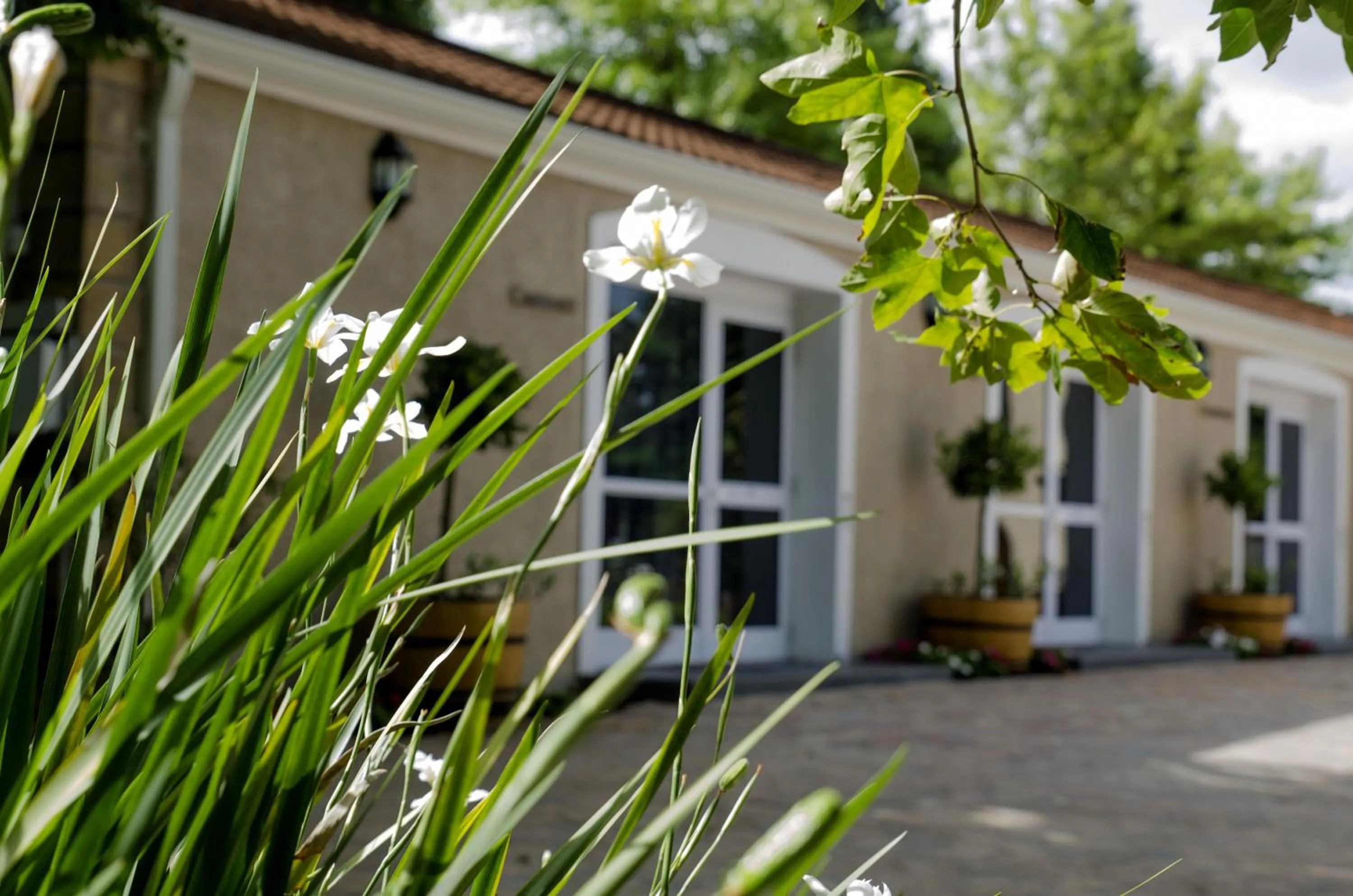 Facade/entrance in Clos Malverne Wine Estate
