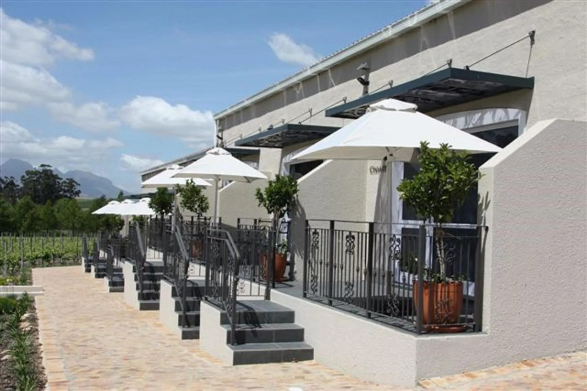 View (from property/room) in Clos Malverne Wine Estate