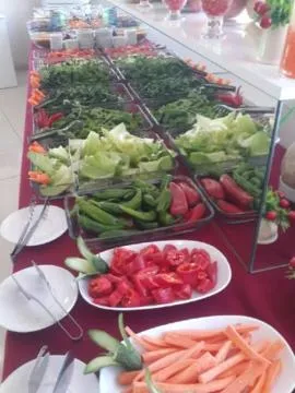 Osmaniye Hanedan Otel