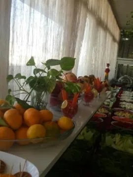 Osmaniye Hanedan Otel