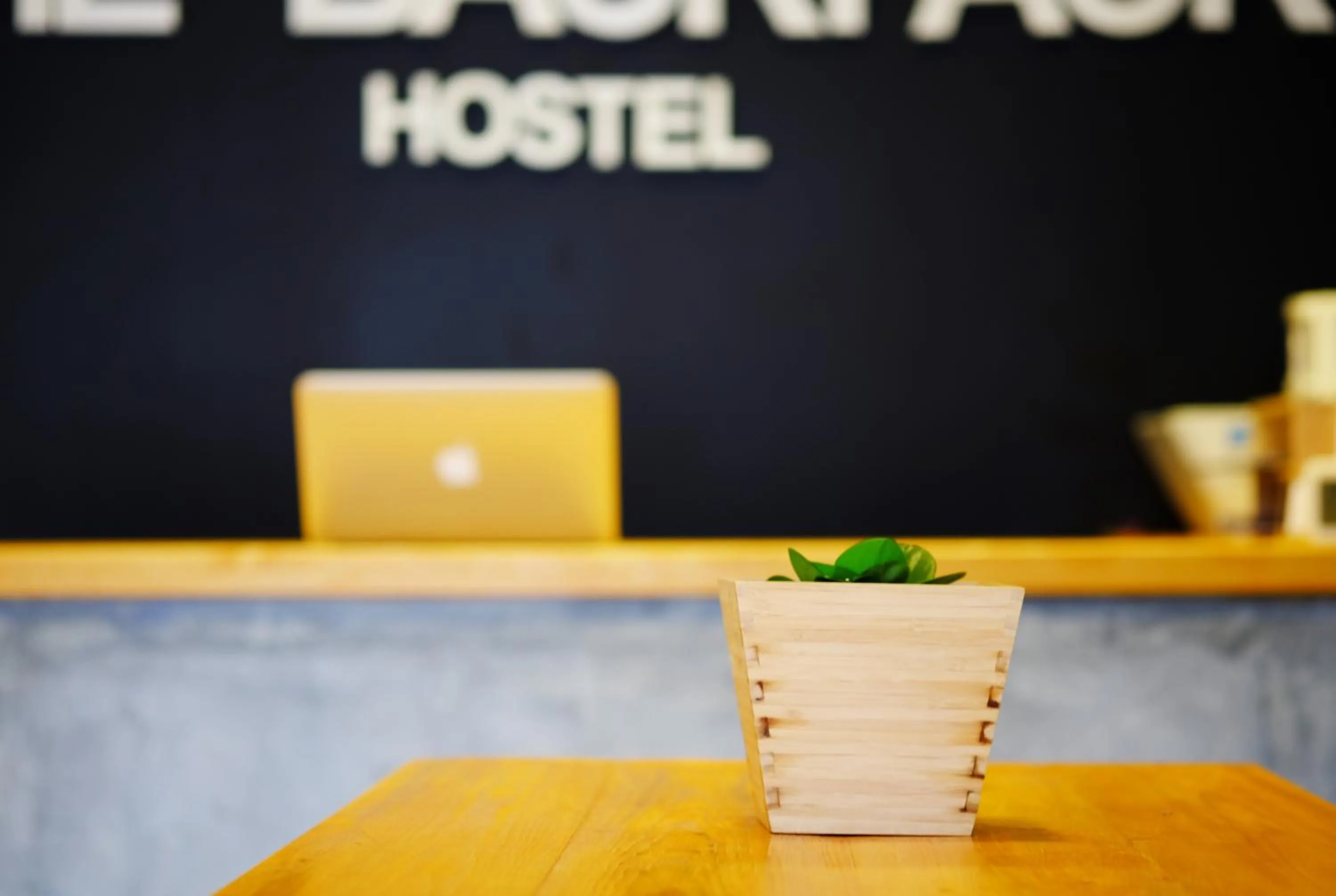 Lobby or reception in The Backpack Hostel