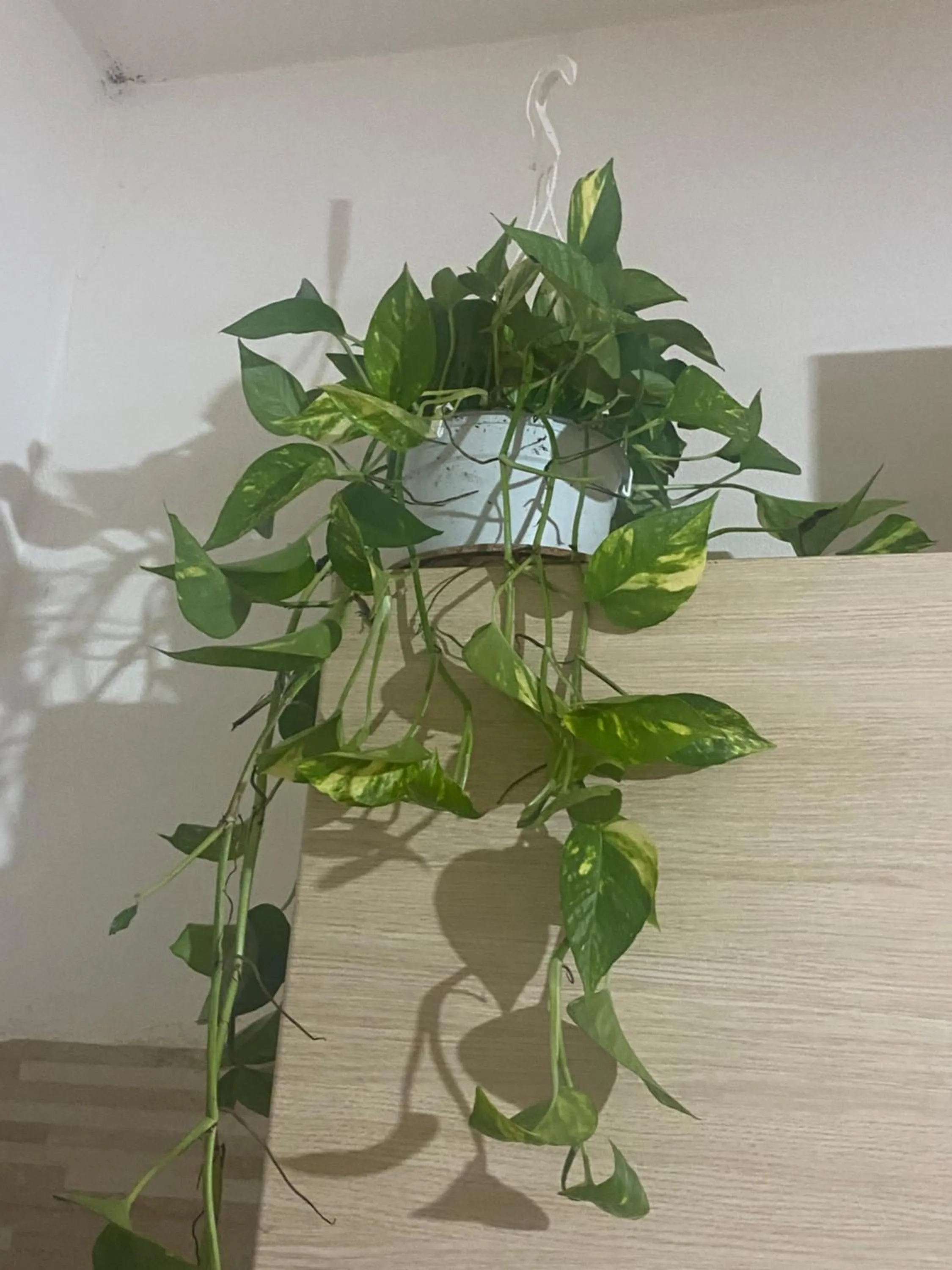 Casa vacanza La Ninfea intera casa