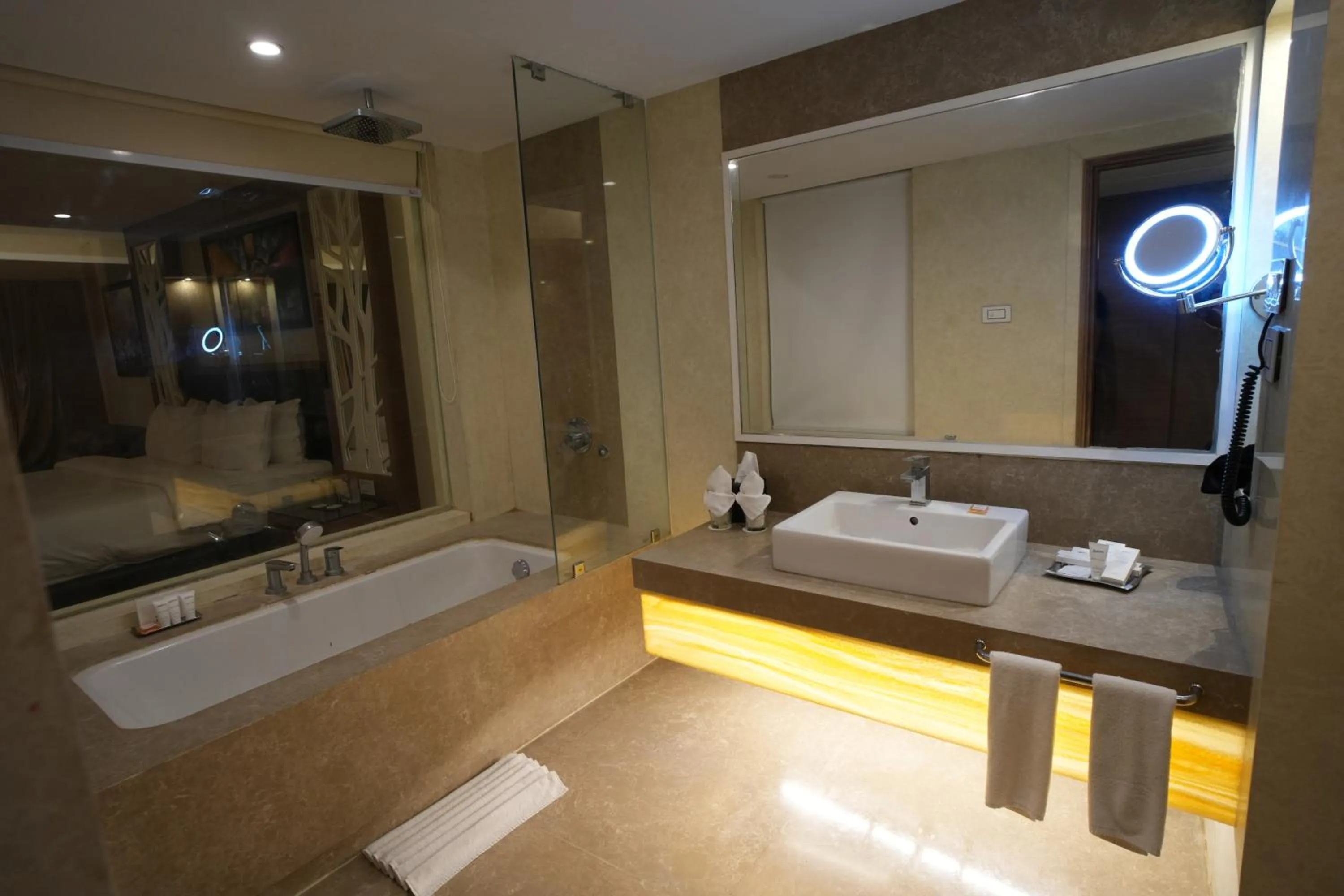 Bathroom in Radisson Udaipur