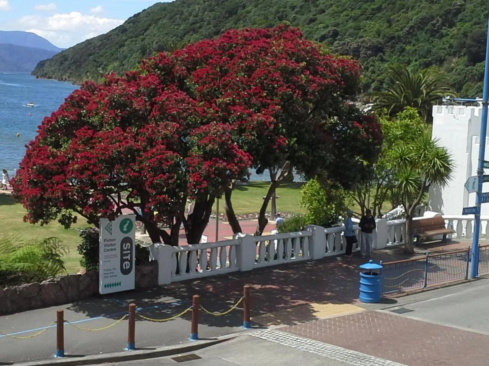 View (from property/room) in Picton Waterfront Apartments