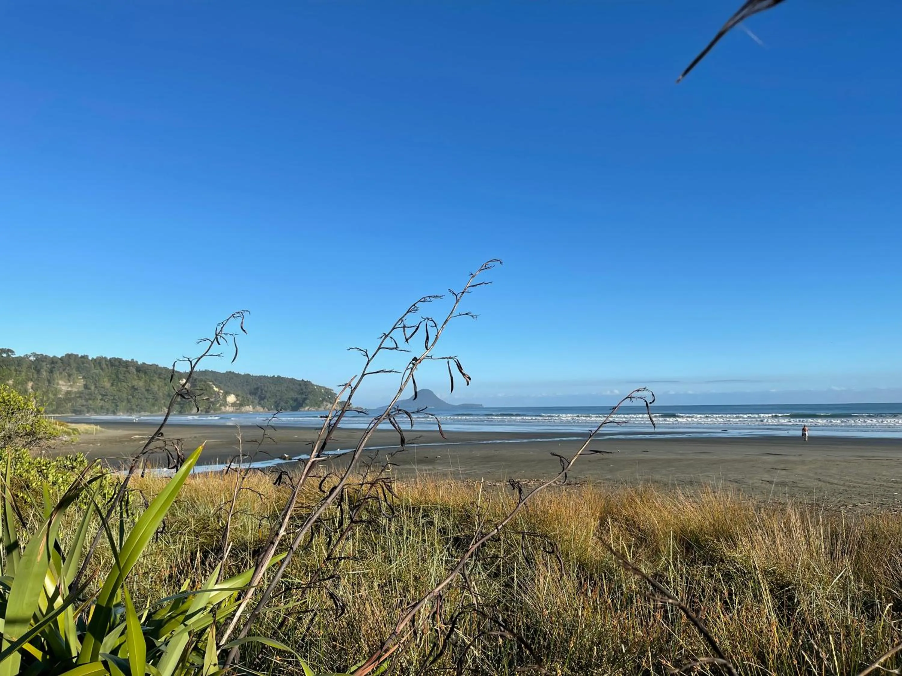 Natural landscape in Beachpoint Apartments