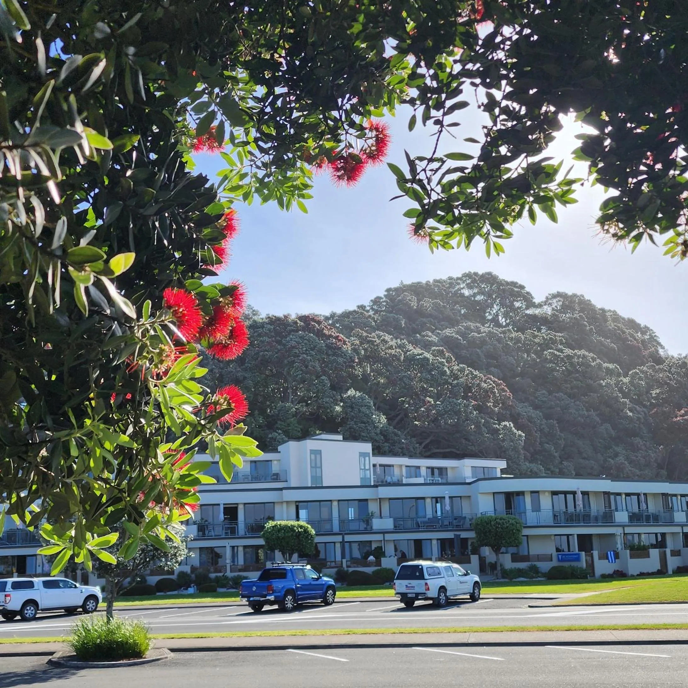 Property building in Beachpoint Apartments