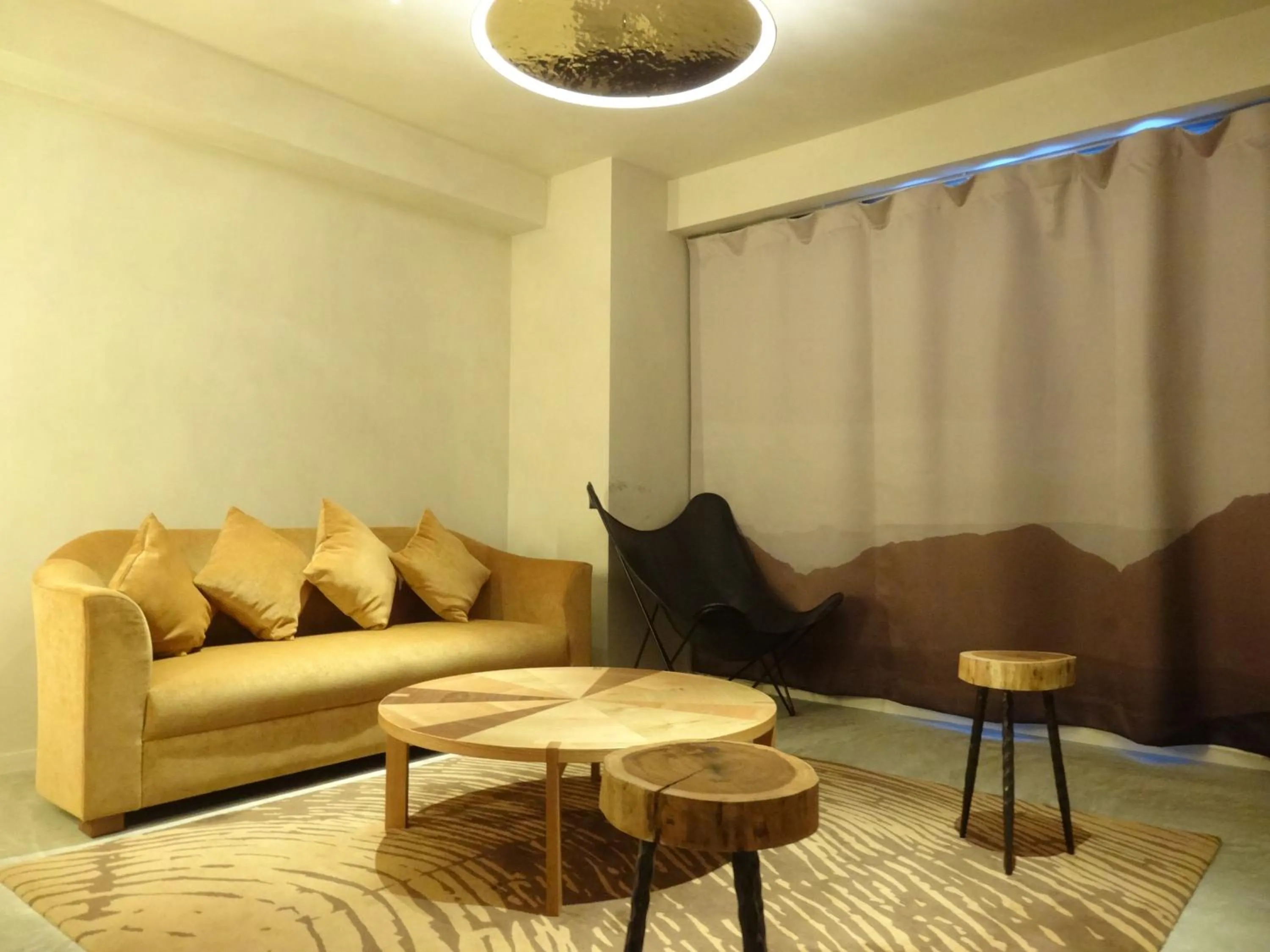 Photo of the whole room in The Wall Hotel