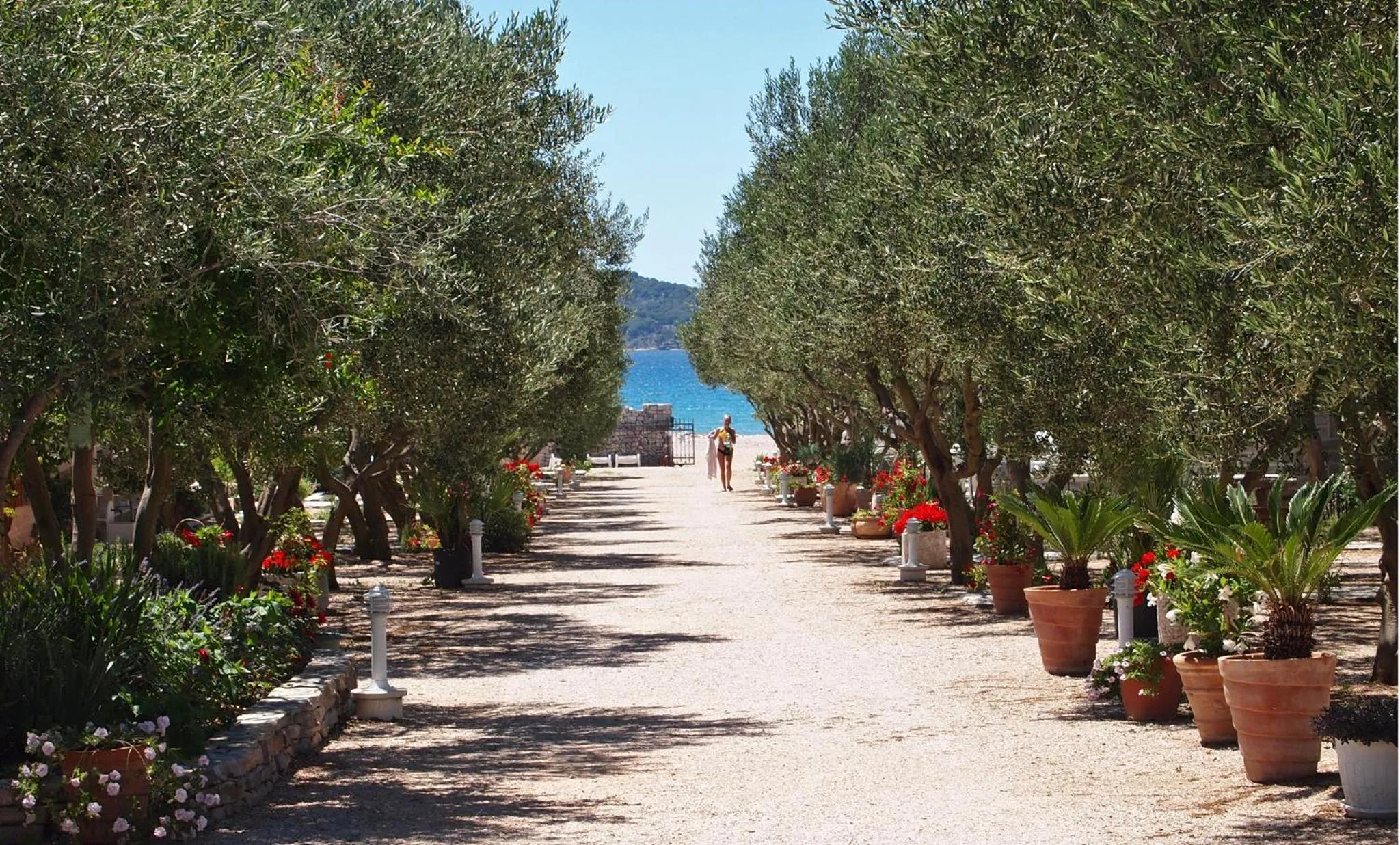 Garden in Mobile Homes Holiday Olive Garden