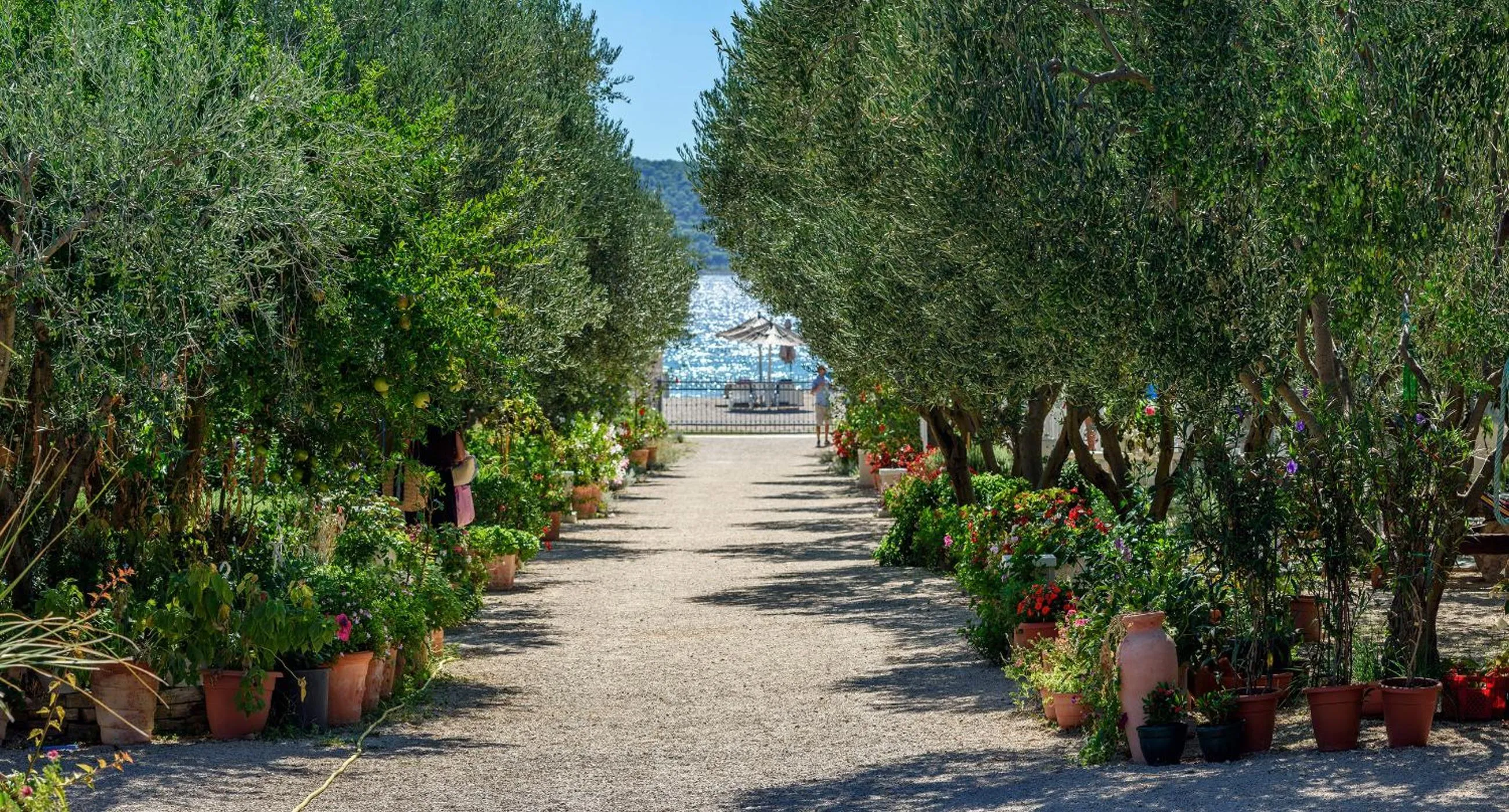 Garden in Mobile Homes Holiday Olive Garden