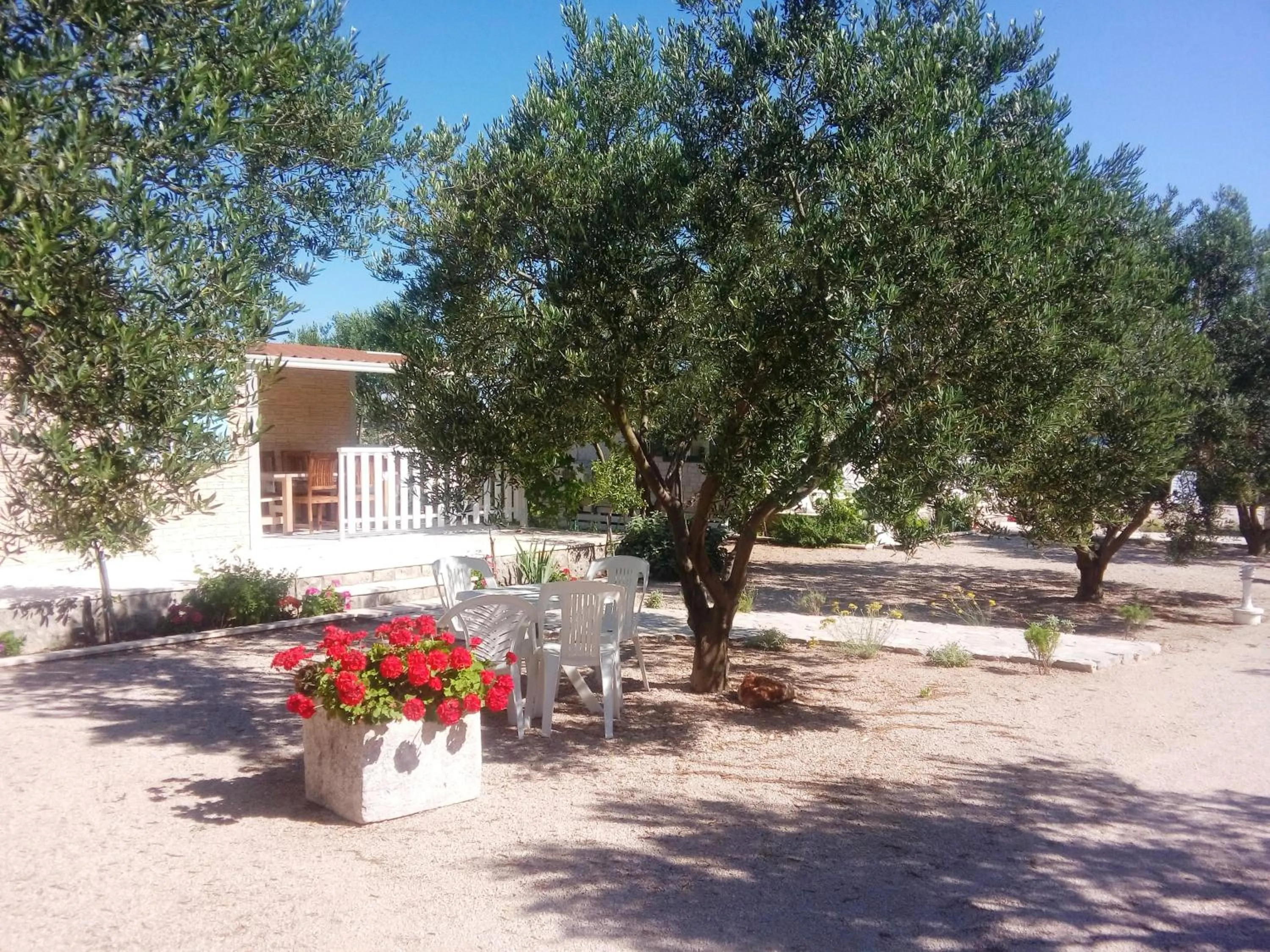 Natural landscape in Mobile Homes Holiday Olive Garden