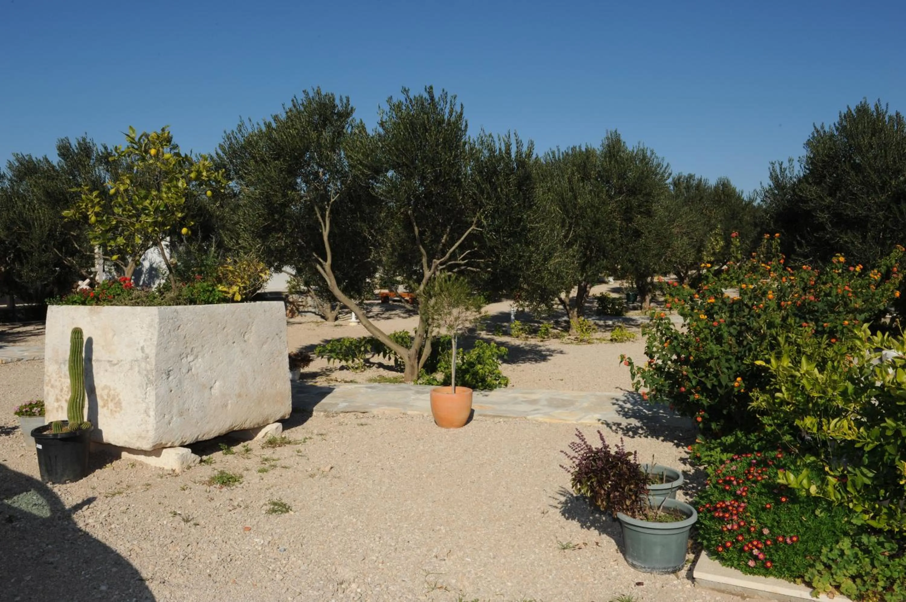 Garden in Mobile Homes Holiday Olive Garden