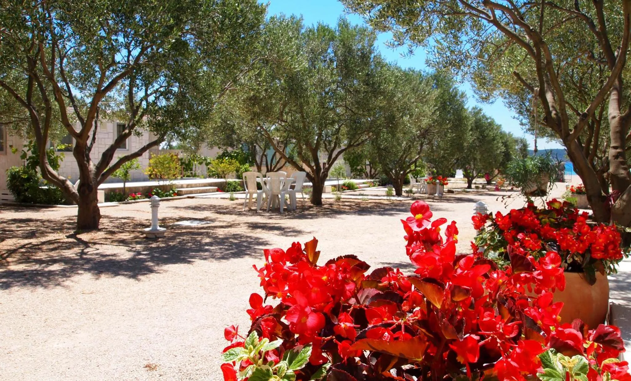 Garden in Mobile Homes Holiday Olive Garden