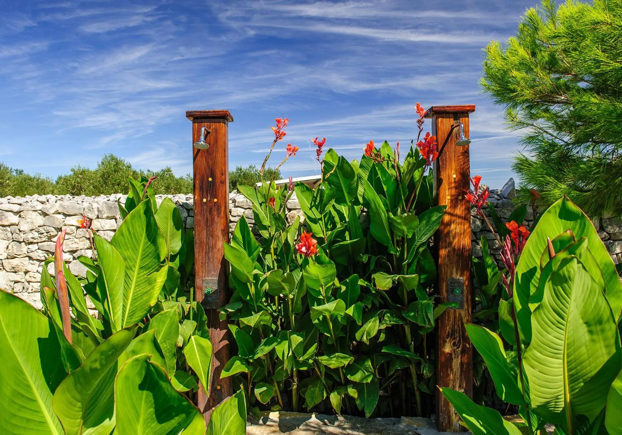 Garden in Mobile Homes Holiday Olive Garden