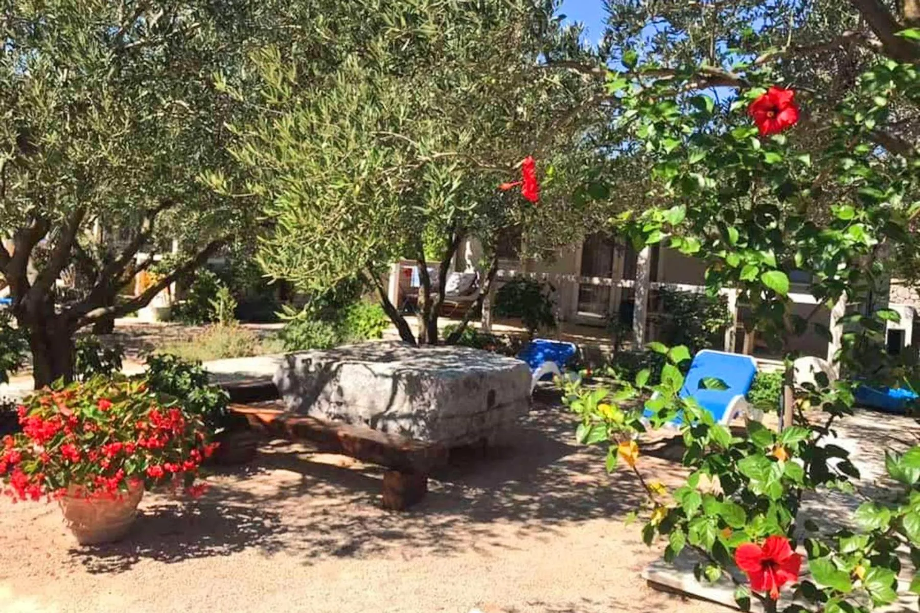 Garden in Mobile Homes Holiday Olive Garden