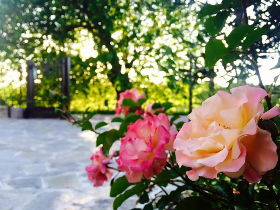 Property building in B&B Osteria dello sperone