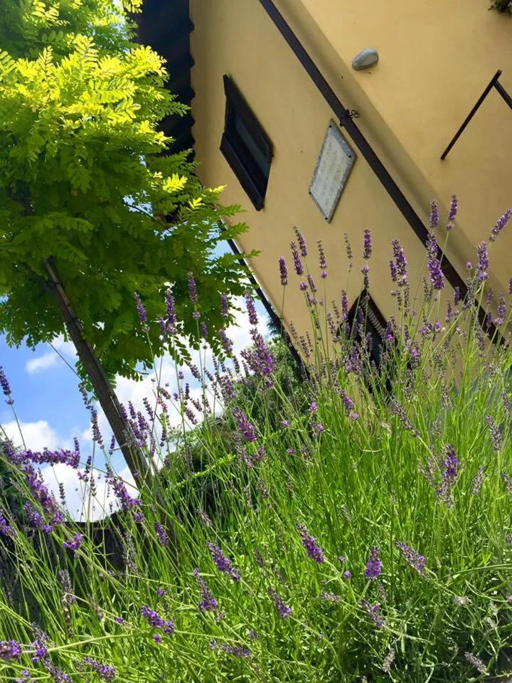 Property building in B&B Osteria dello sperone