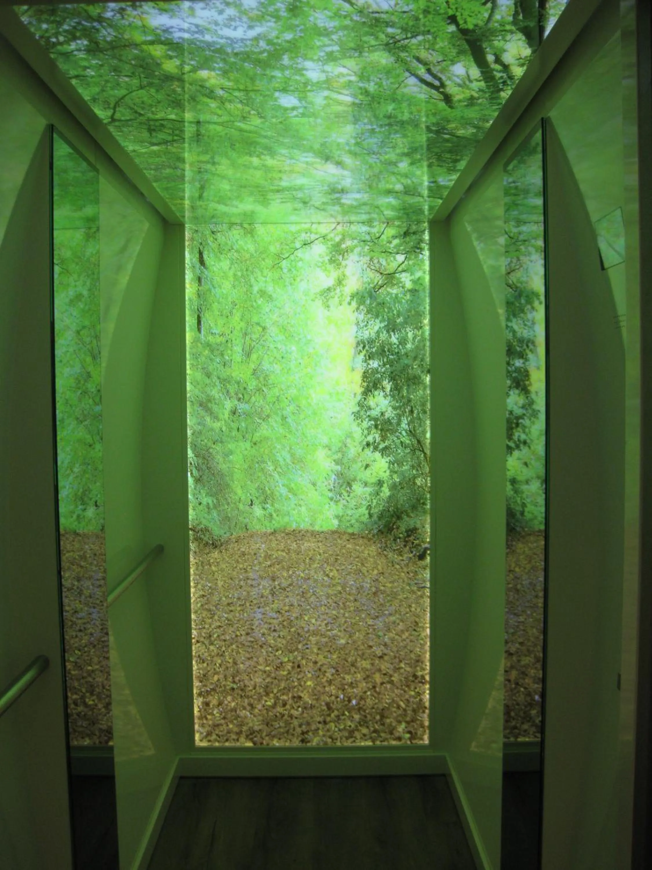 Decorative detail in Apartment Central Leipzig - City