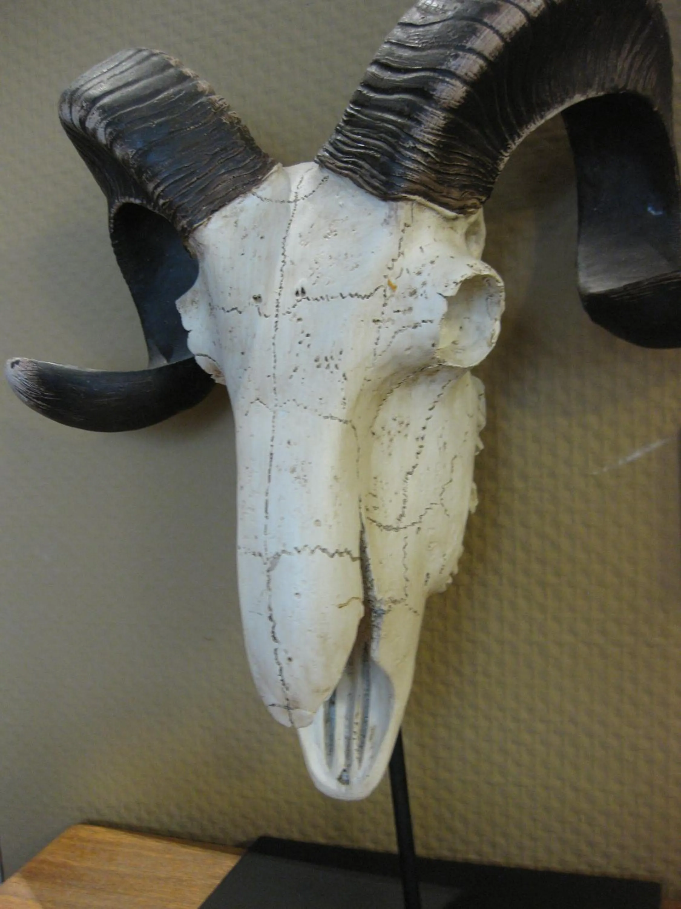 Decorative detail in Apartment Central Leipzig - City