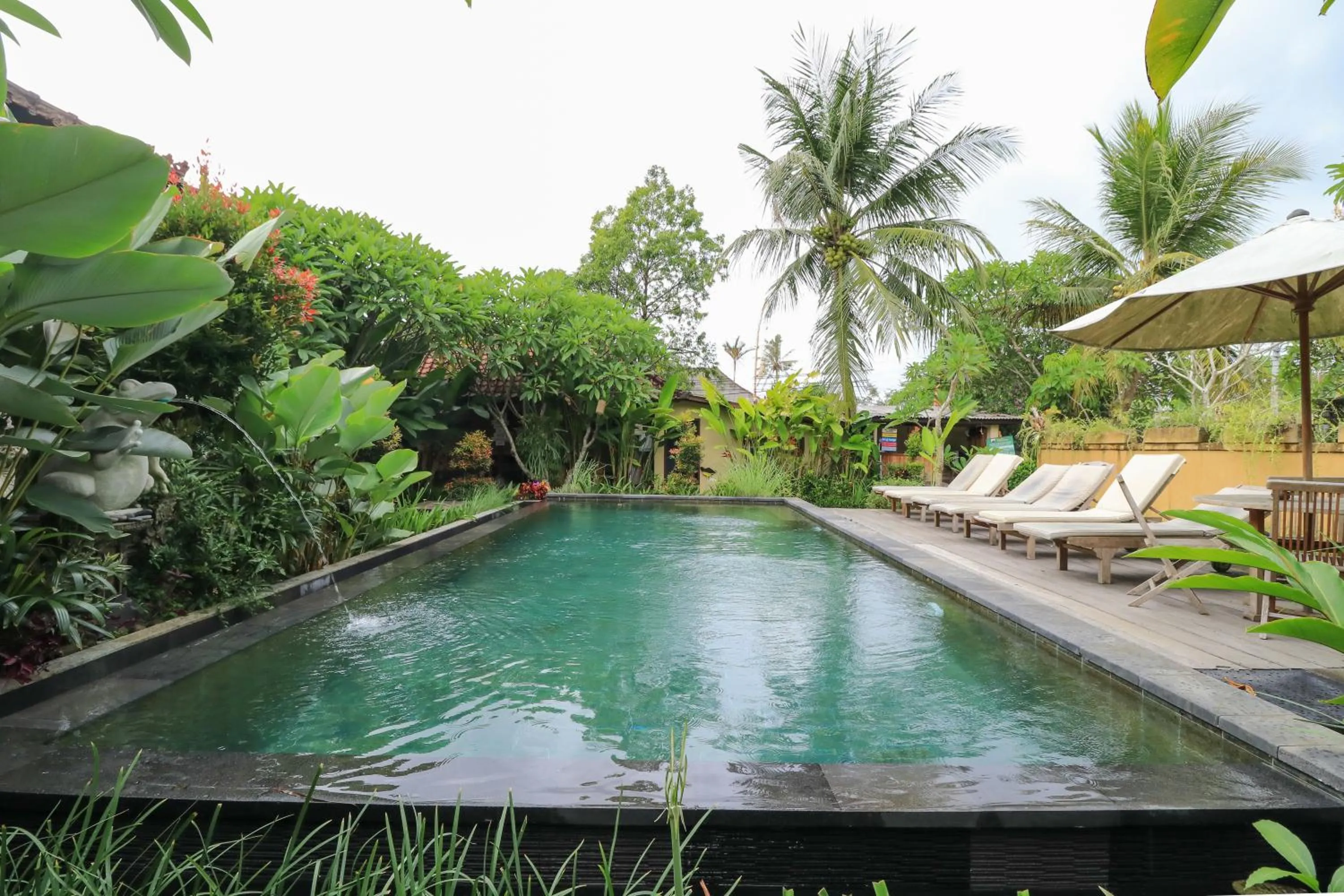 Swimming pool in Bali Sunshine Ubud