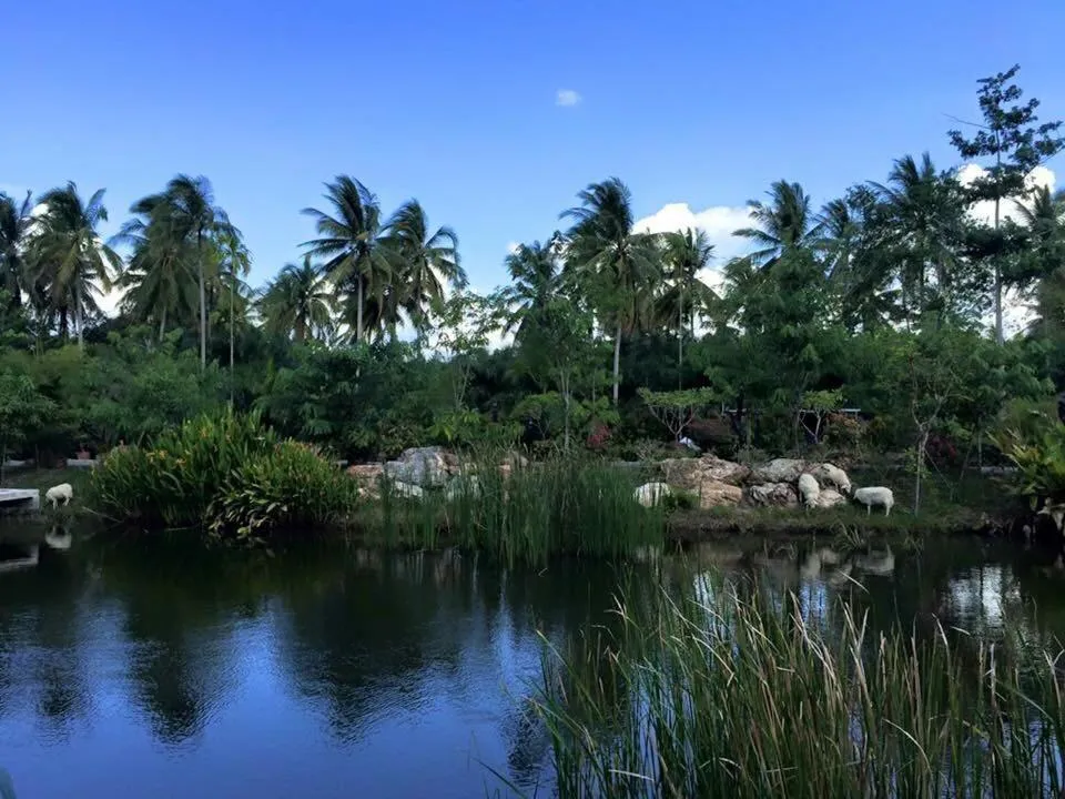 Garden view in Ruean Thai Nai Bang by PANSAK Resort