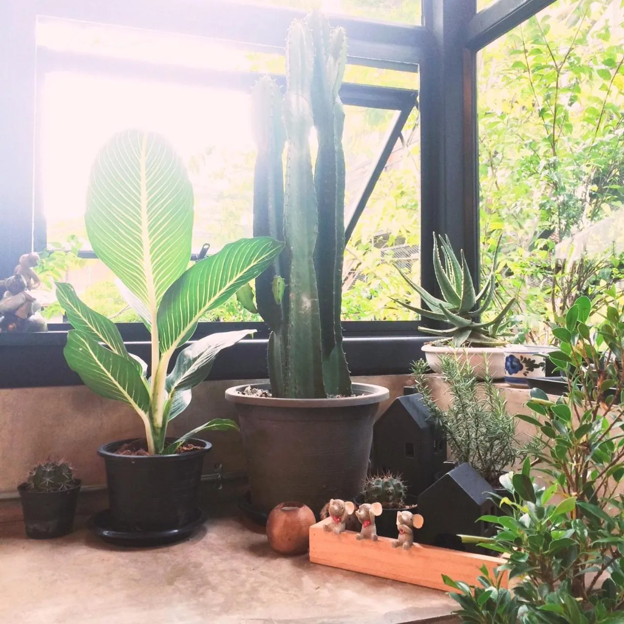 The Wishes Hotel at Chiangmai