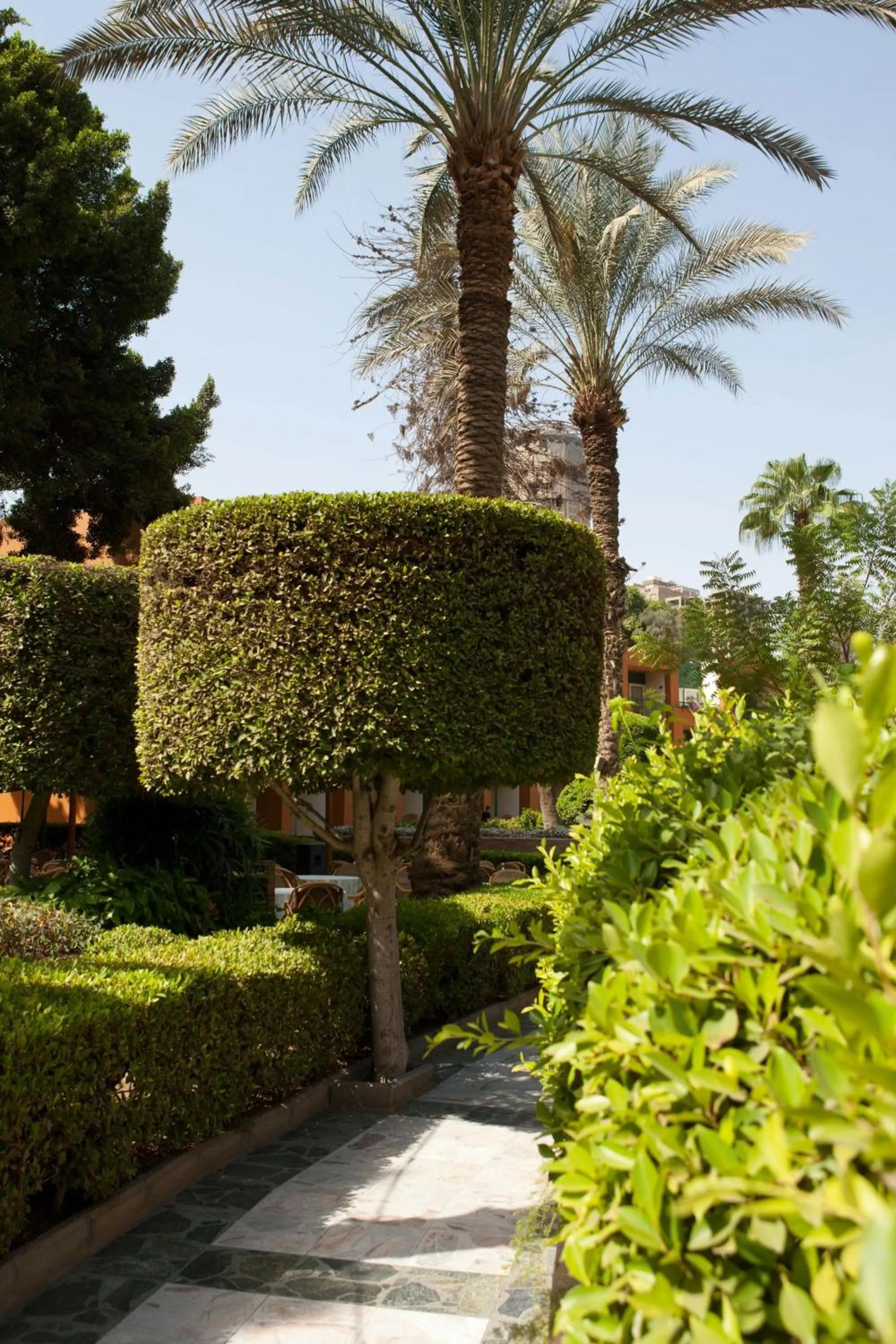 View (from property/room) in Cairo Marriott Hotel