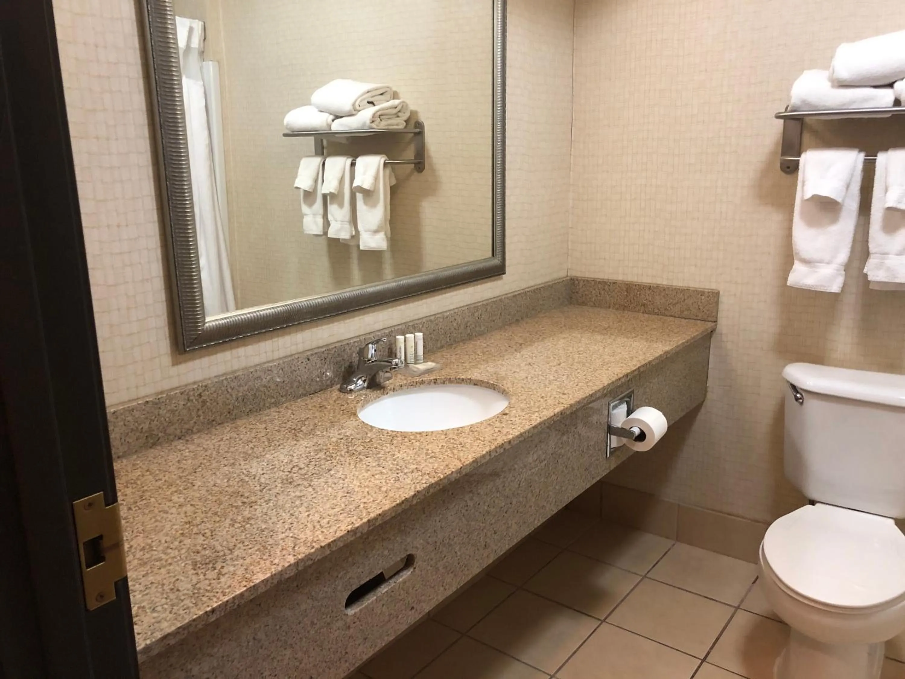 Toilet in Wingate by Wyndham Ashland