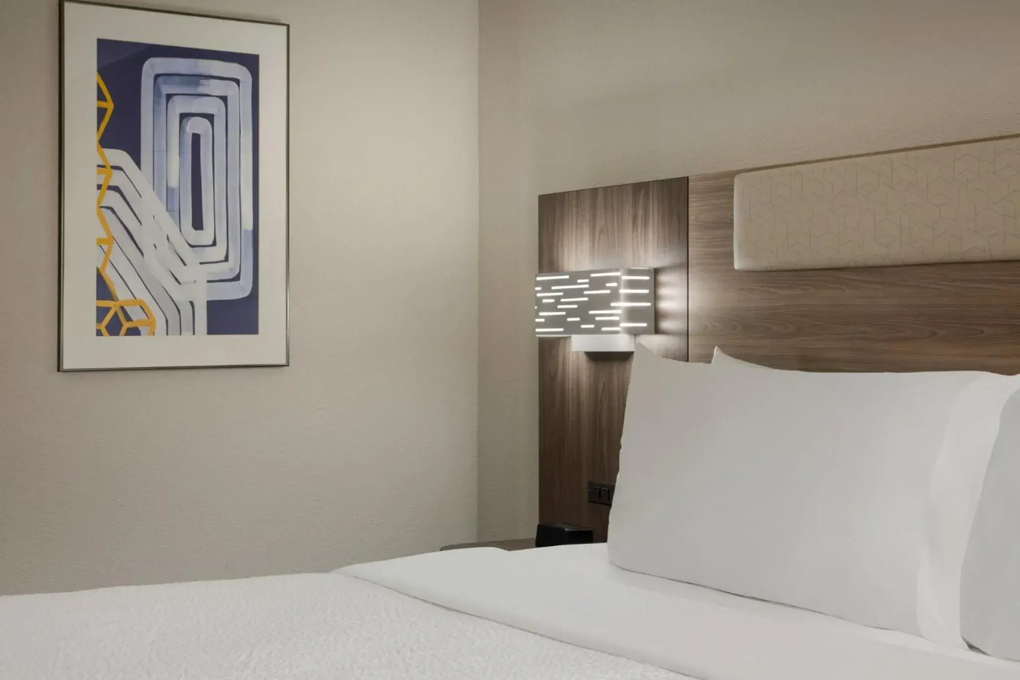 Standard King Room with Sofa Bed in Holiday Inn Express - Atlanta-Kennesaw by IHG Standard King Room with Sofa Bed in Holiday Inn Express - Atlanta-Kennesaw by IHG